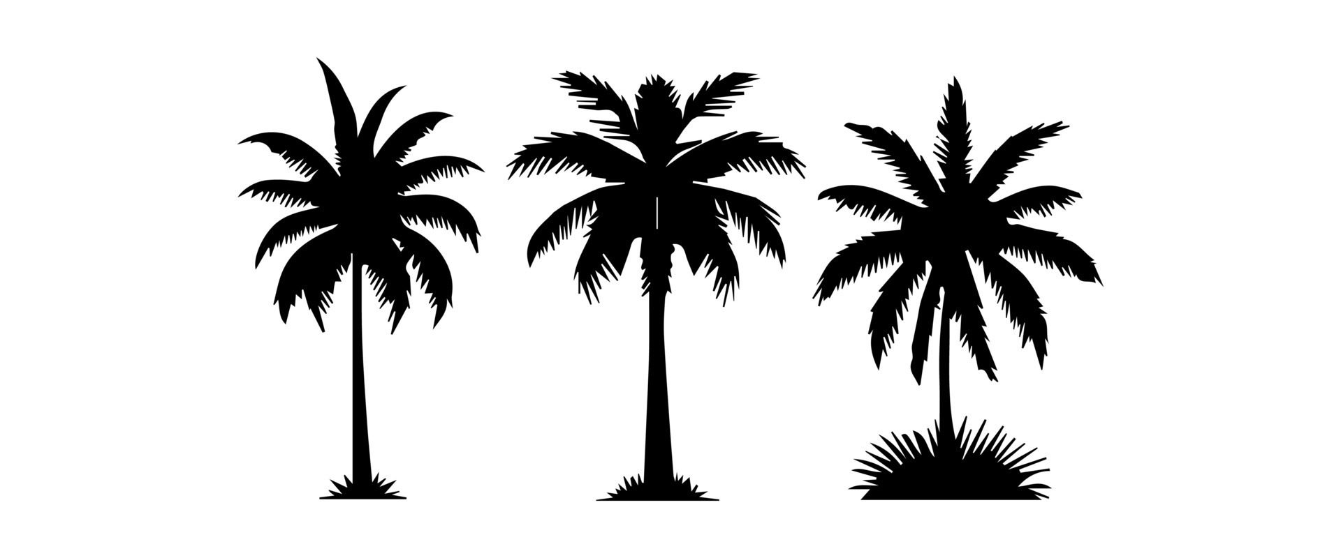 Black palm trees set isolated on white background. Palm silhouettes. Design of palm trees for posters, banners and promotional items. illustration Free Vector