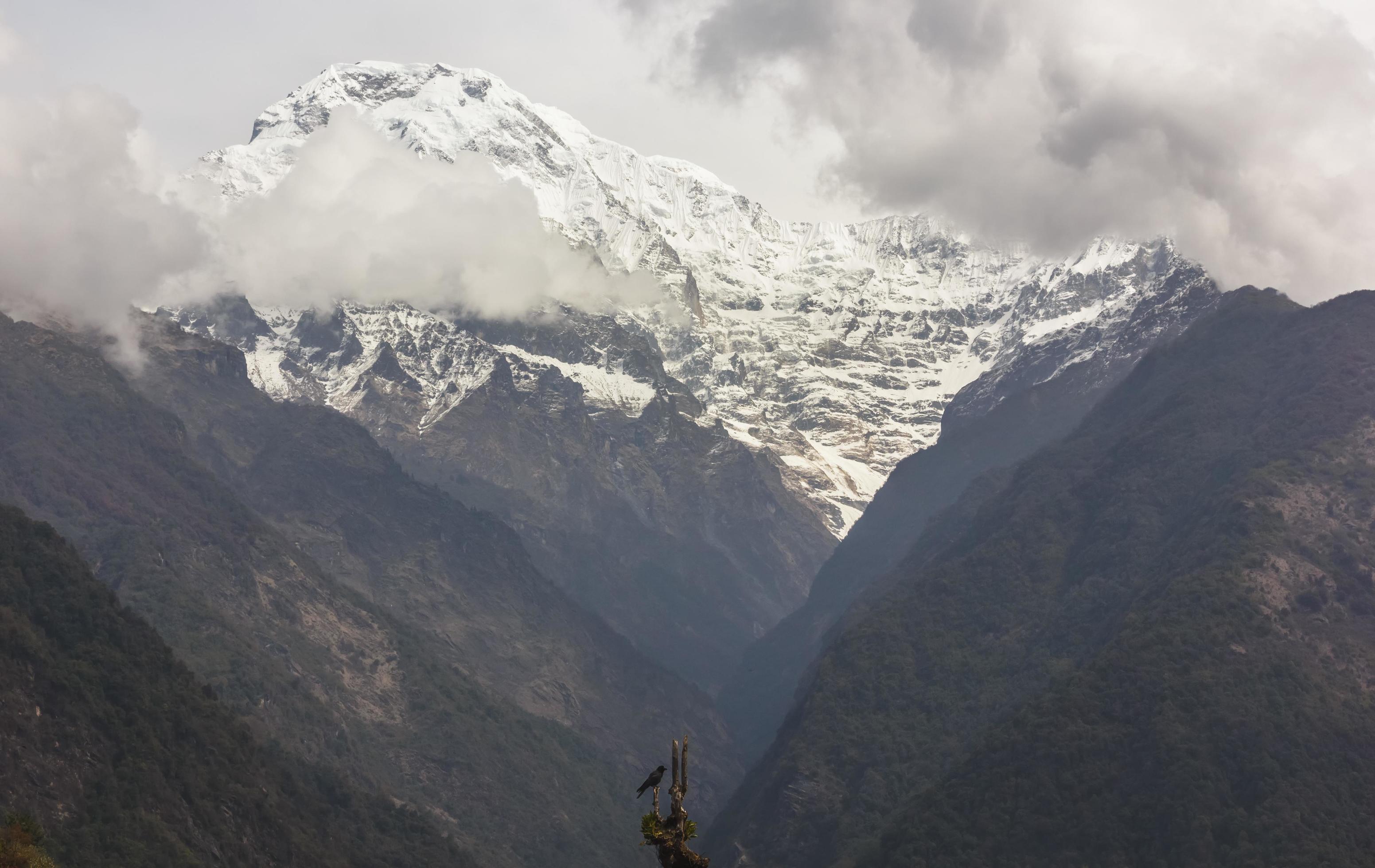 A view of the South Annapurna peak from the village of Chhomong on the Annapurna Base Camp trail in the Nepal himalaya. Stock Free