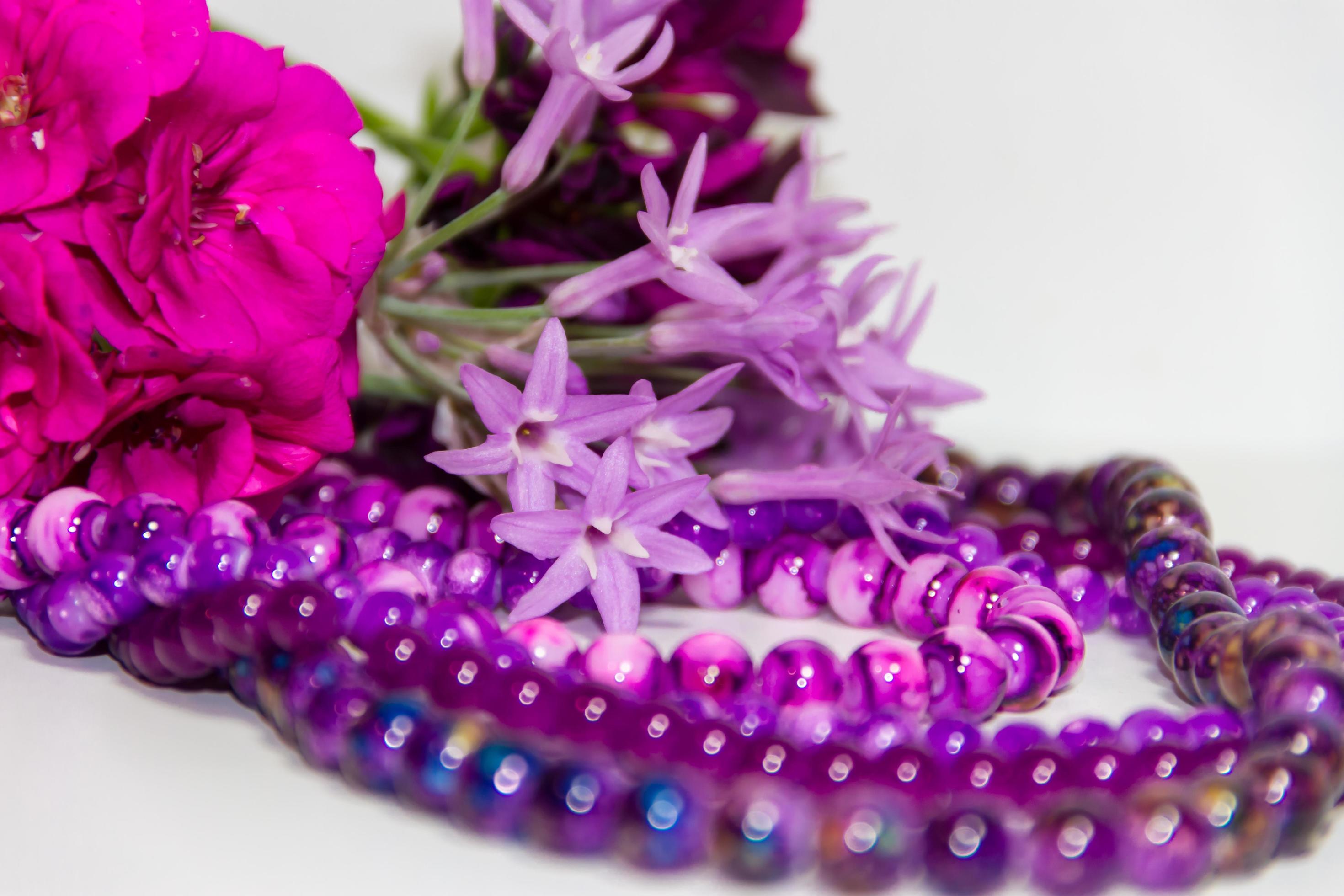 feminine and romantic pearls and flowers in violet tone Stock Free