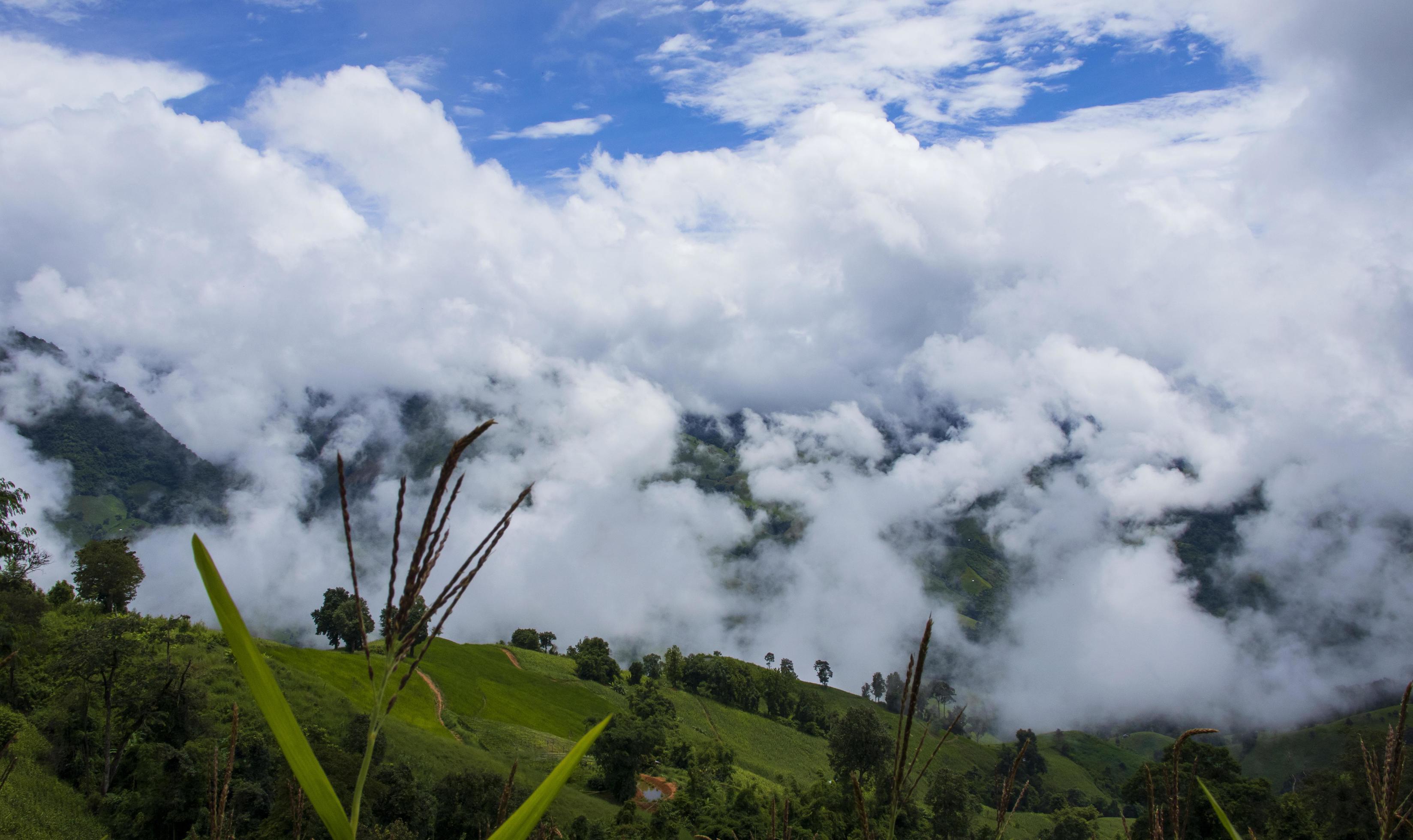 fog and cloud landscape in rainy season beautiful natural scenery Stock Free