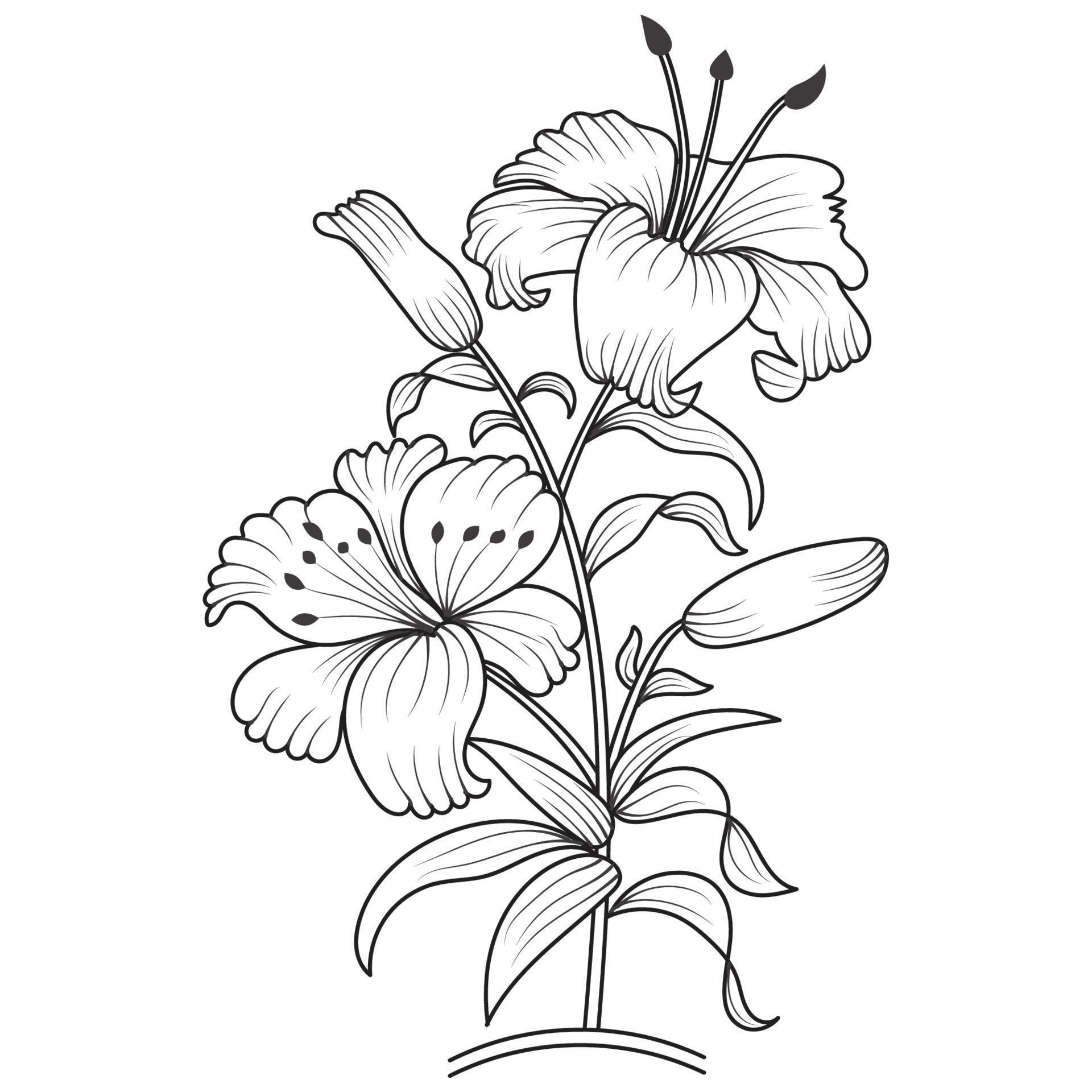 Set of differents flower line on white background. Flowers drawing with line-art on white backgrounds. Stock Free