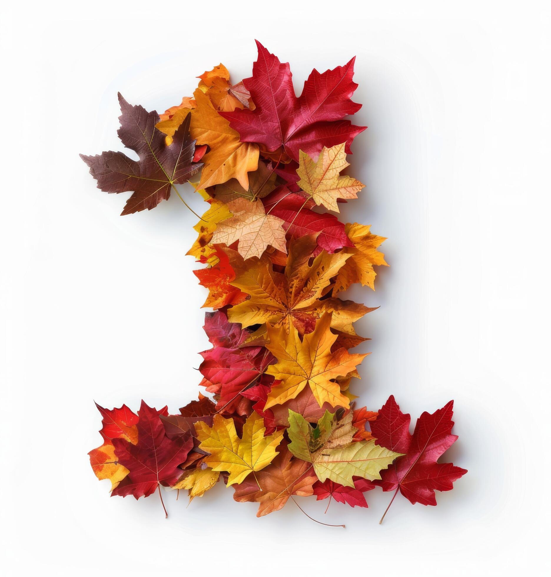 Autumn Leaves Arranged in the Shape of the Number One Against a White Background Stock Free