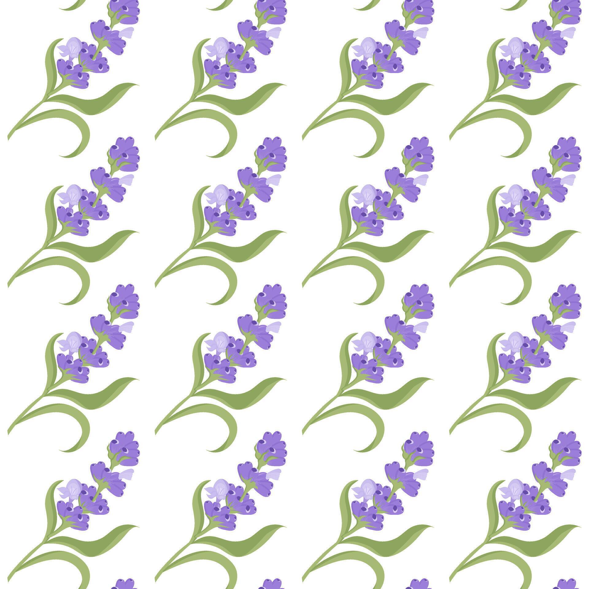 A sprig of lavender. Purple flower. Seamless pattern. illustration. Stock Free