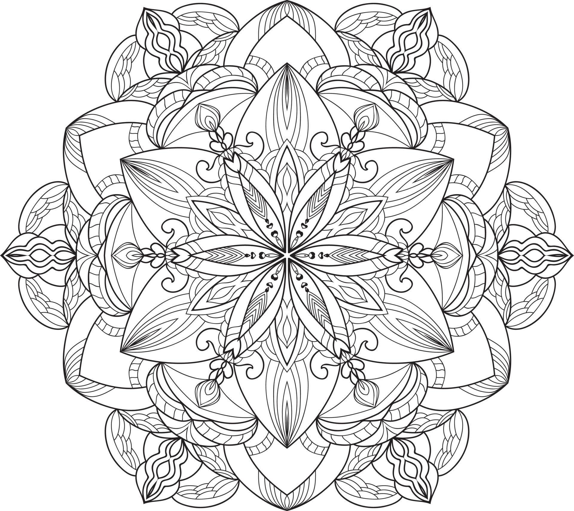 Circular Flower Mandala on White Stock Free Stock Free