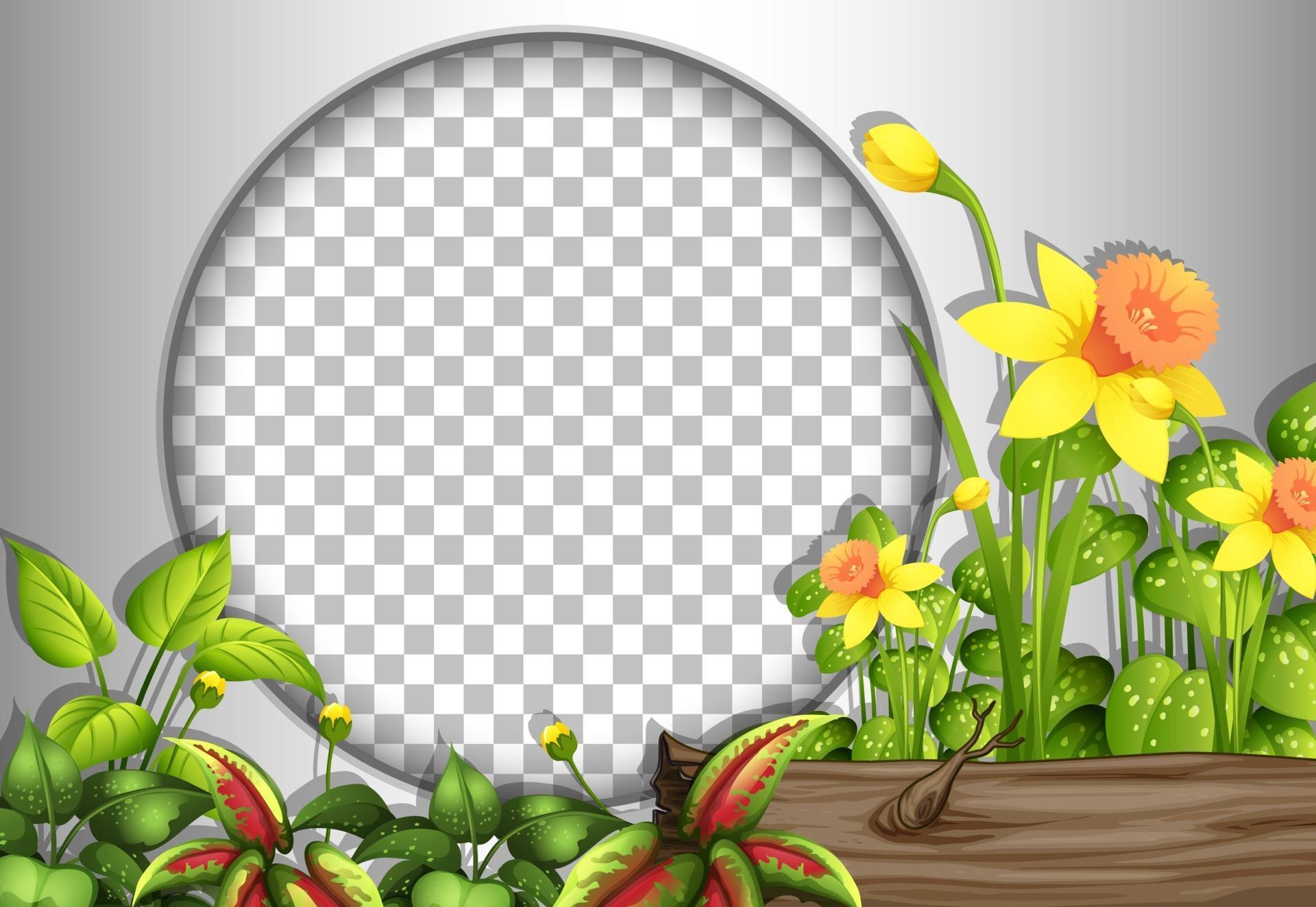 Round frame with tropical flowers and leaves template Stock Free