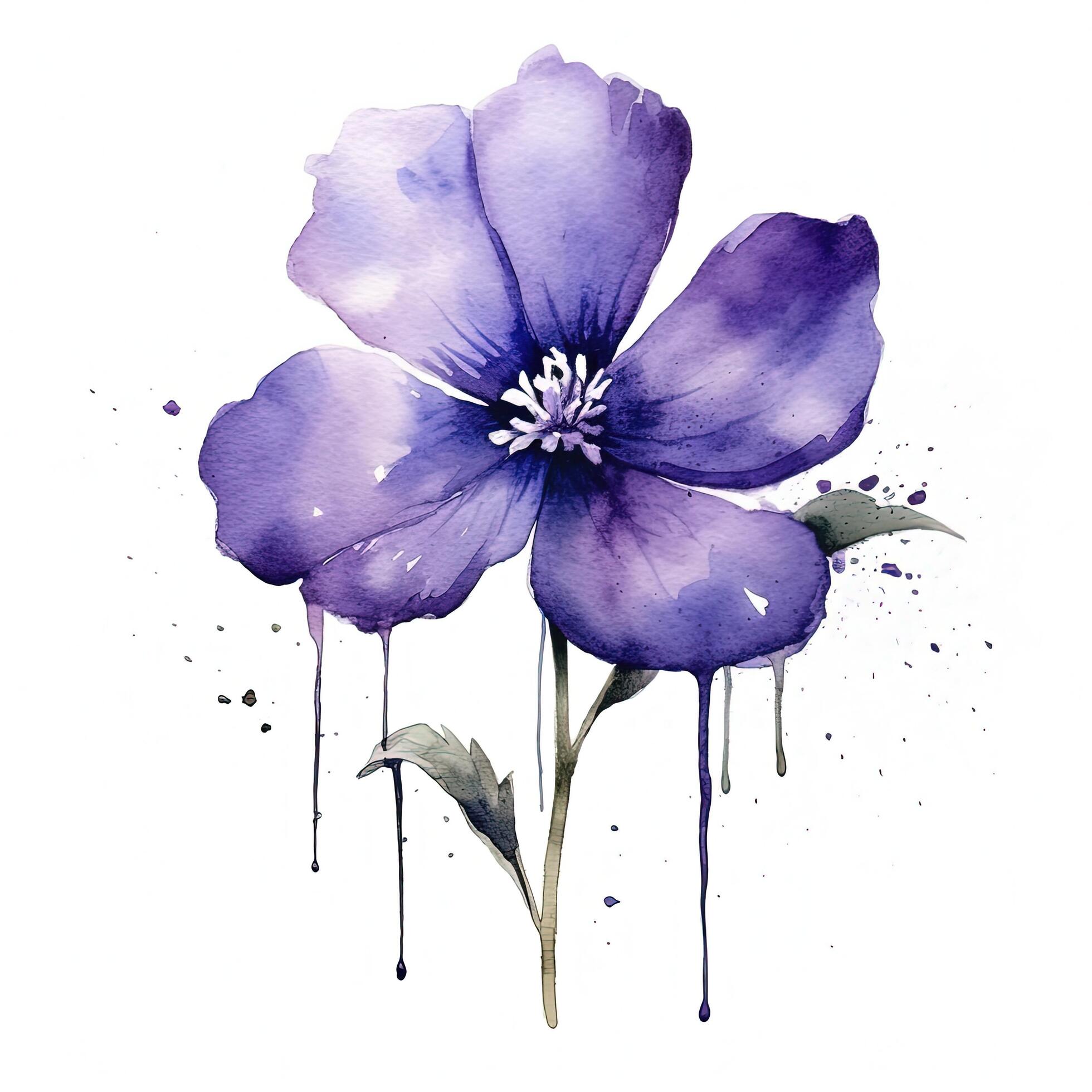 Violet watercolor flower. Illustration Stock Free