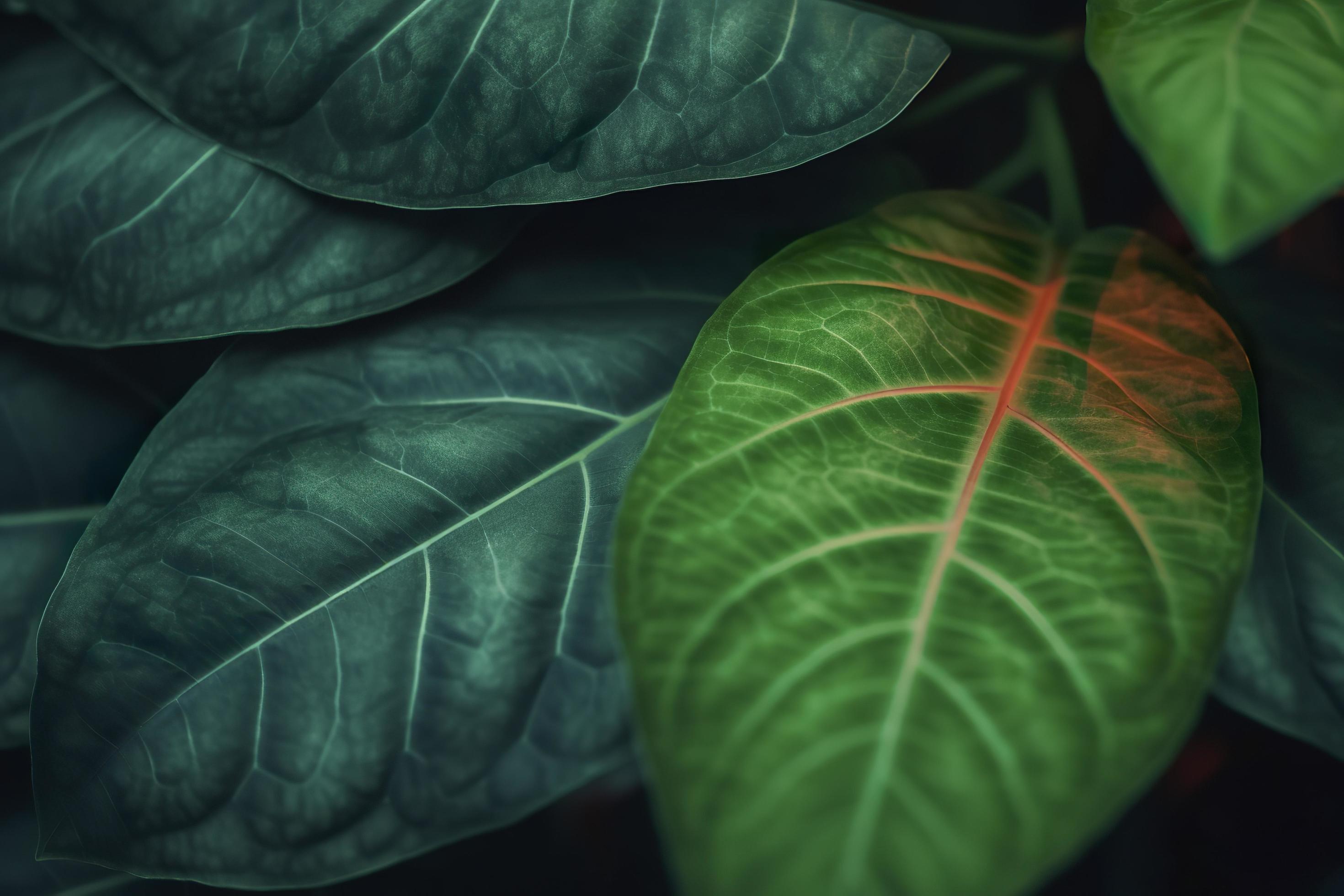 Tropical leaves colorful flower on dark tropical foliage nature background dark green foliage nature, generat ai Stock Free