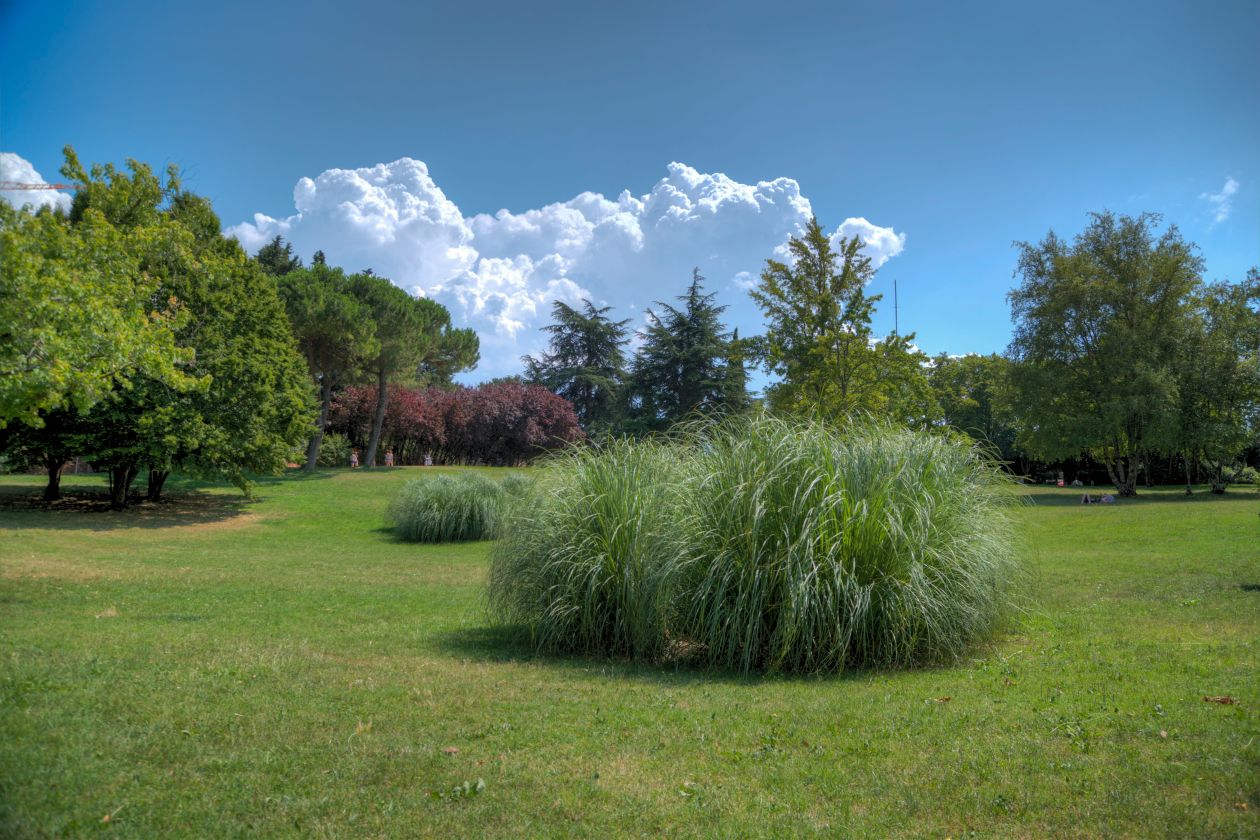 Park in Volterra Stock Free