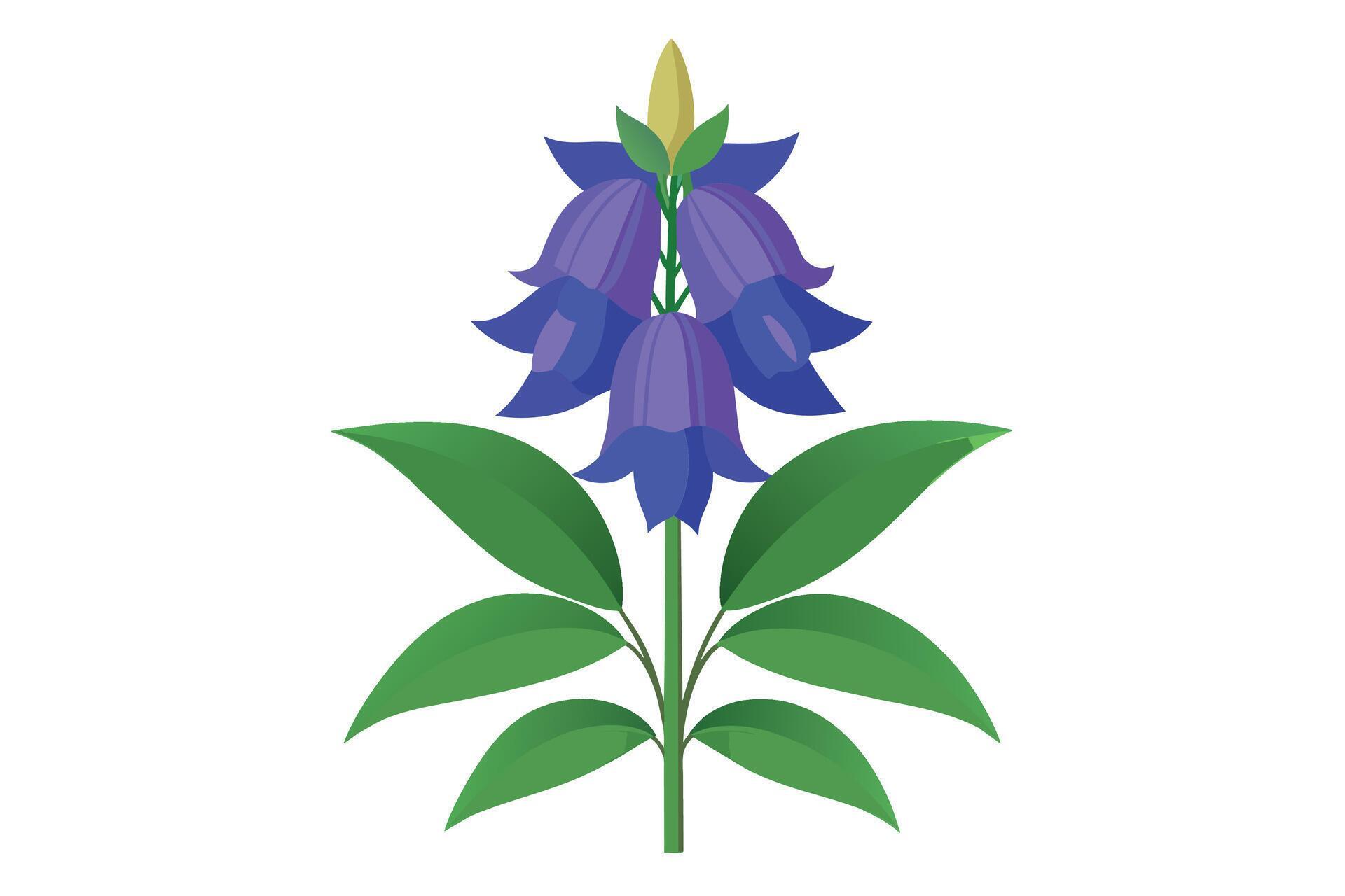 Monkshood Flower Vector Illustration Isolated on a Clean Background Stock Free