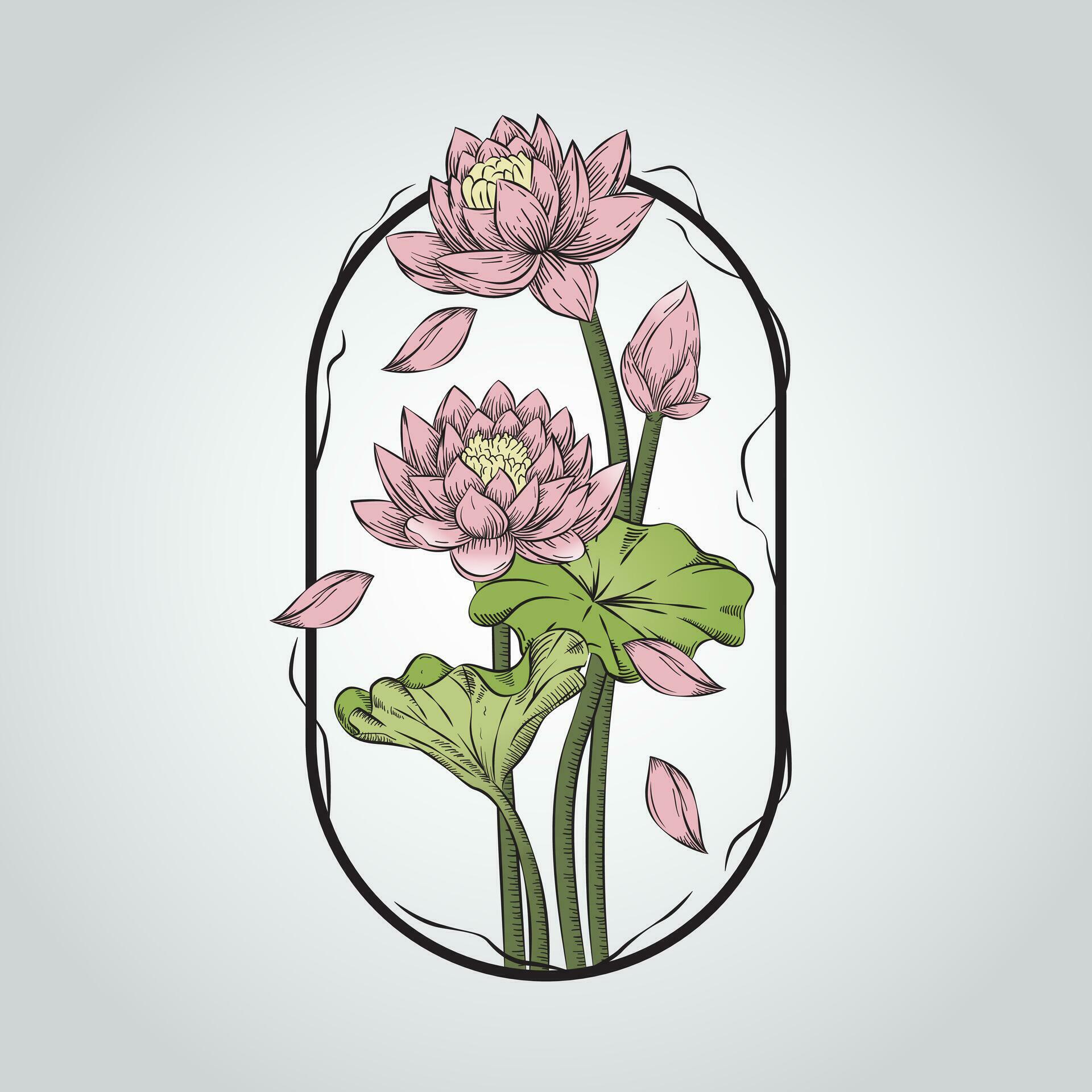 22- Lotus Flower in The Frame Stock Free and Free SVG