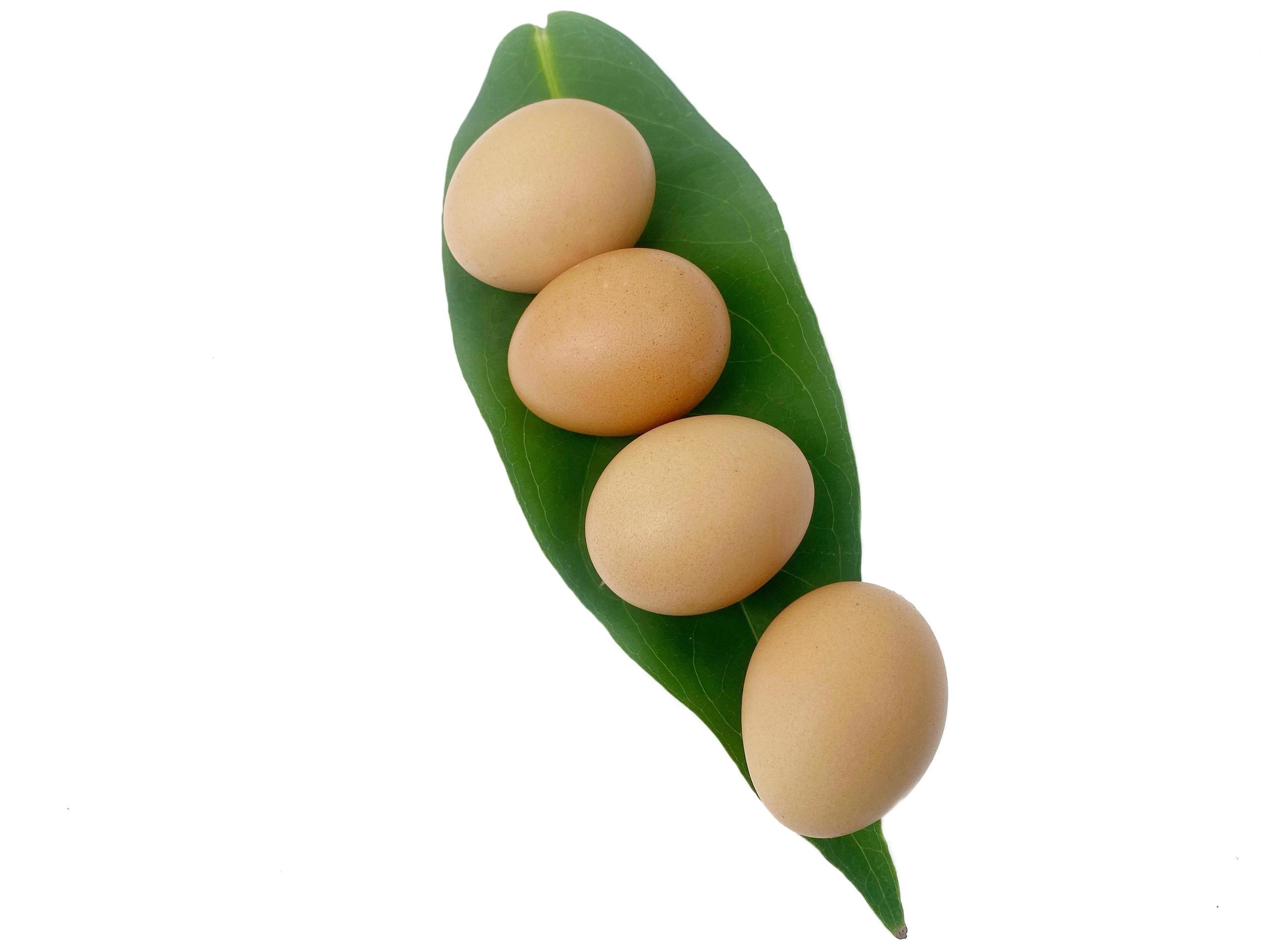 Fresh chicken eggs placed in a white background leaf, suitable for editing. And used for food and nutrition advertising Stock Free