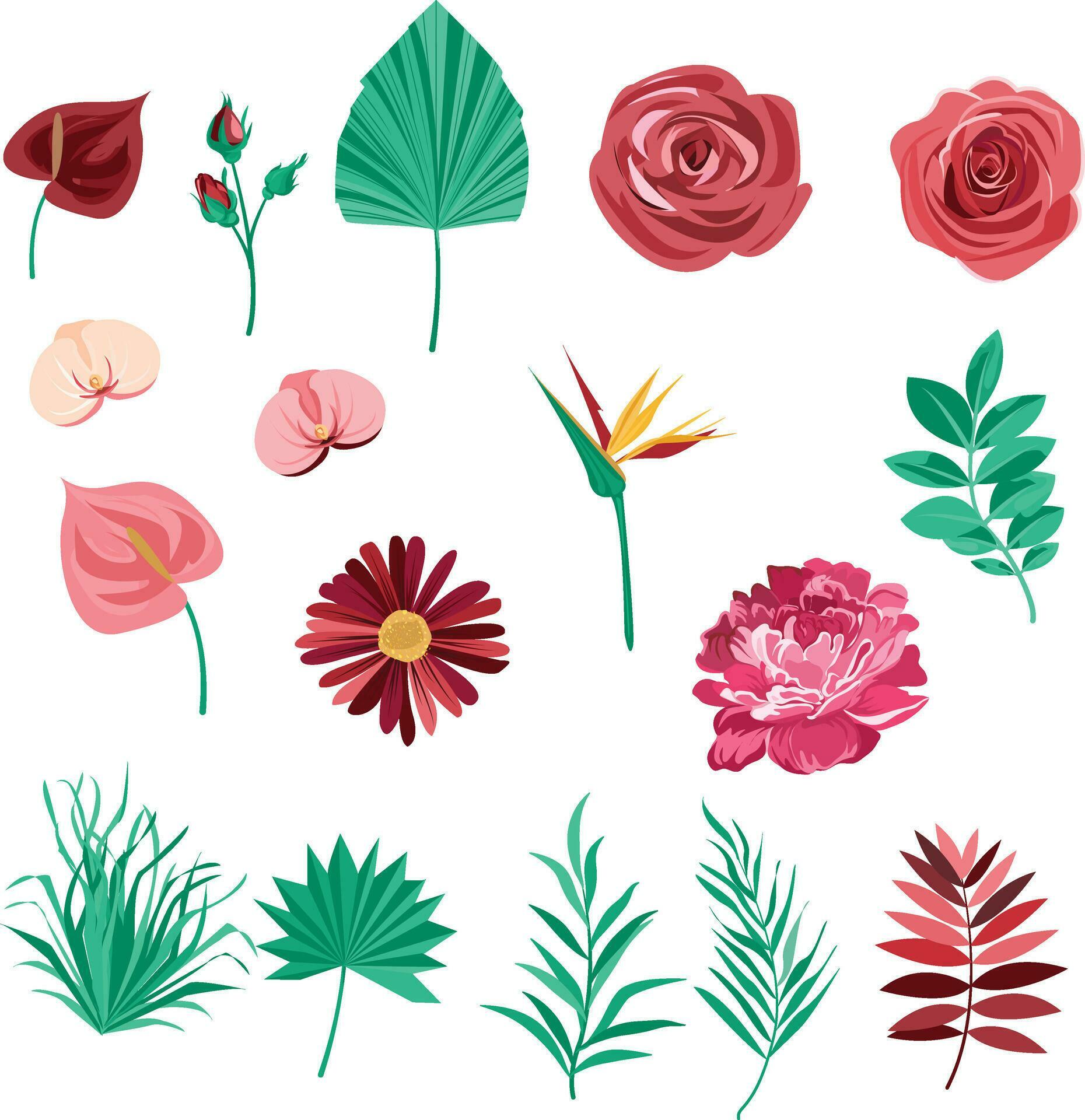 set of rose flower elements and tropical leaves Stock Free