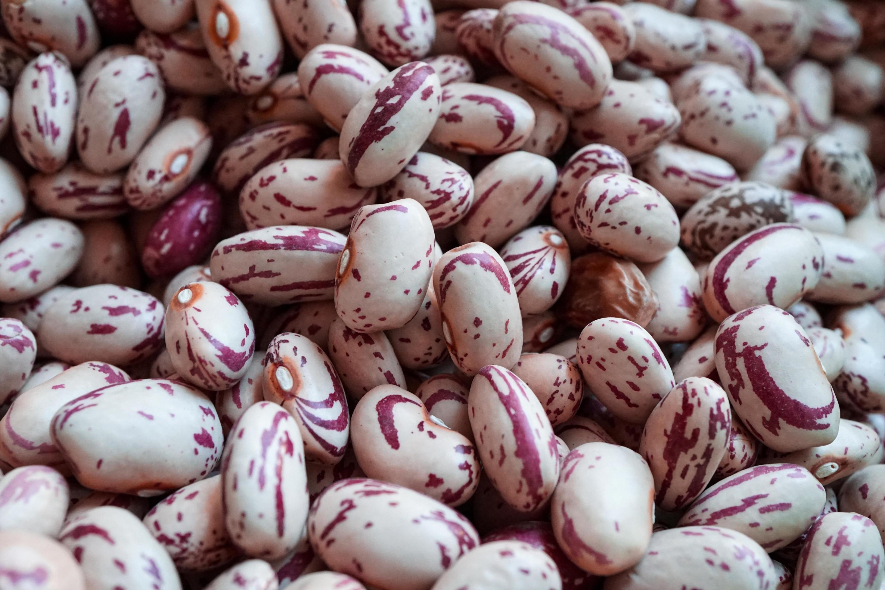 uncooked red beans, mediterranean food Stock Free