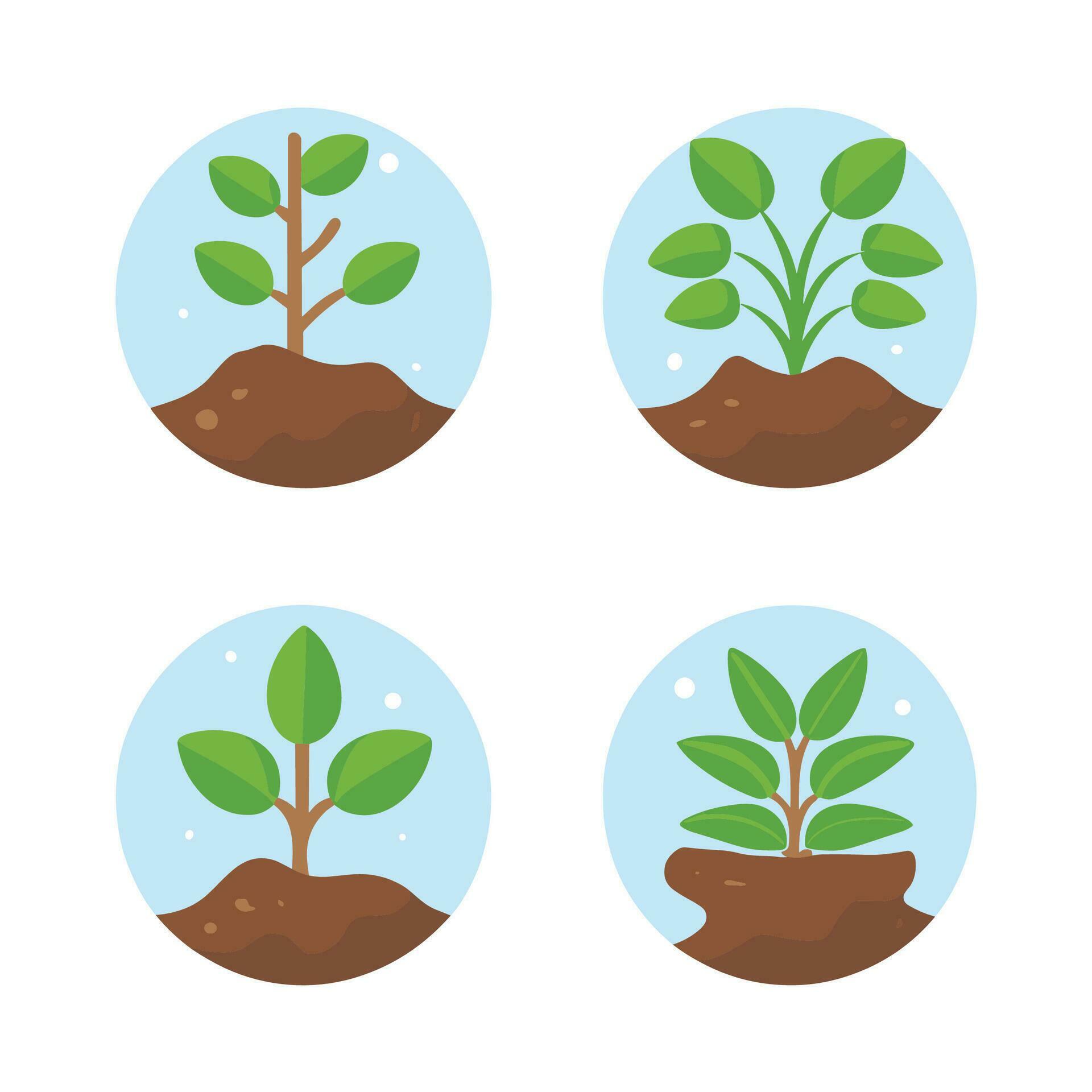 Flowers and plants seedling process flat icons set isolated vector illustration. Stock Free