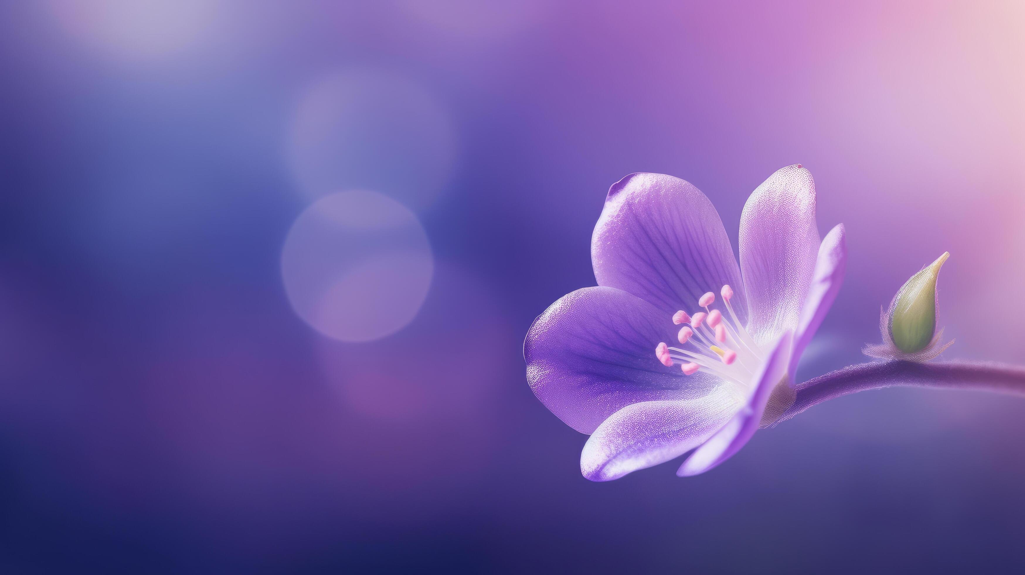 Violet flower background. Illustration Stock Free