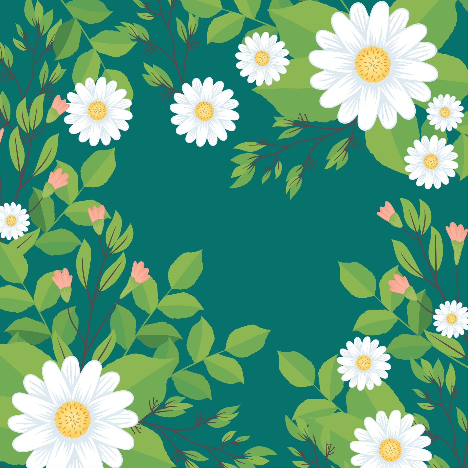 daisy flowers decorative frame Stock Free