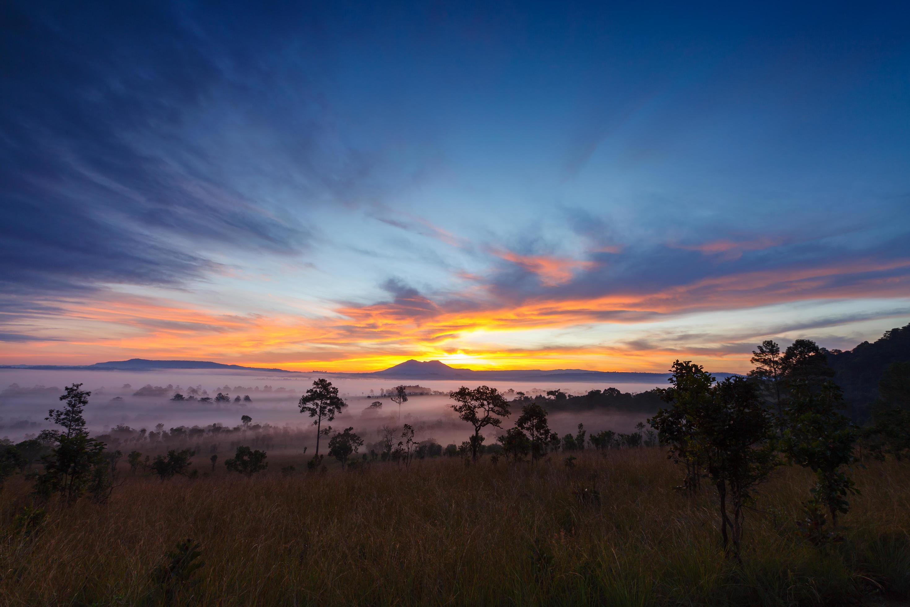 Misty morning sunrise at Thung Salang Luang National Park Phetchabun,Thailand Stock Free