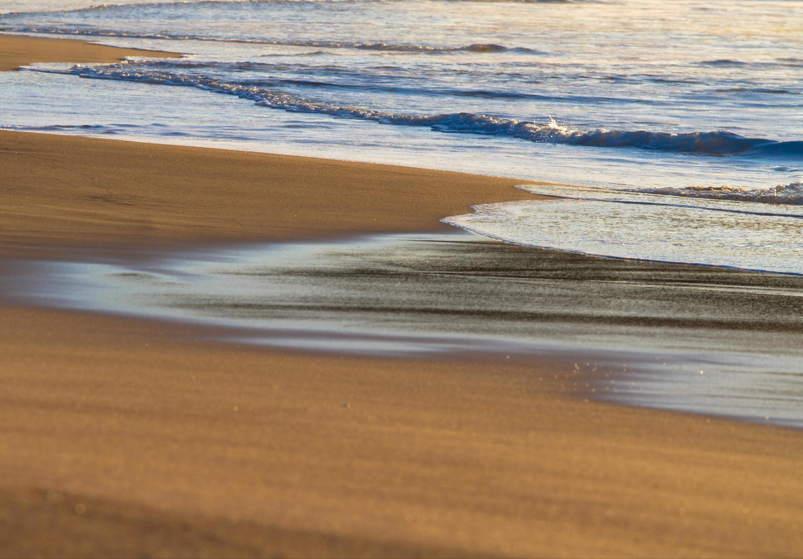 Time-lapse of waves on beach Stock Free