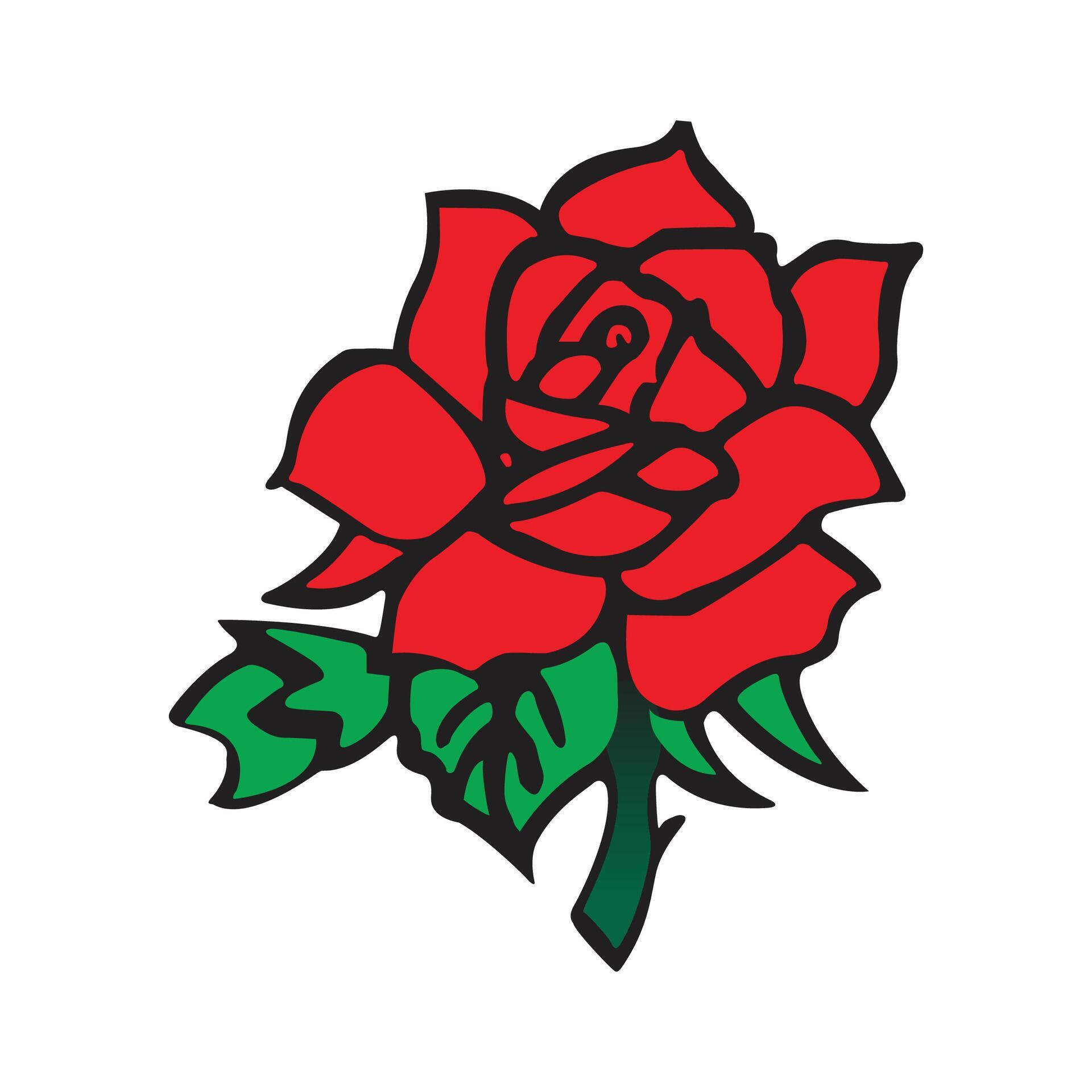 rose flower vector illustration Stock Free