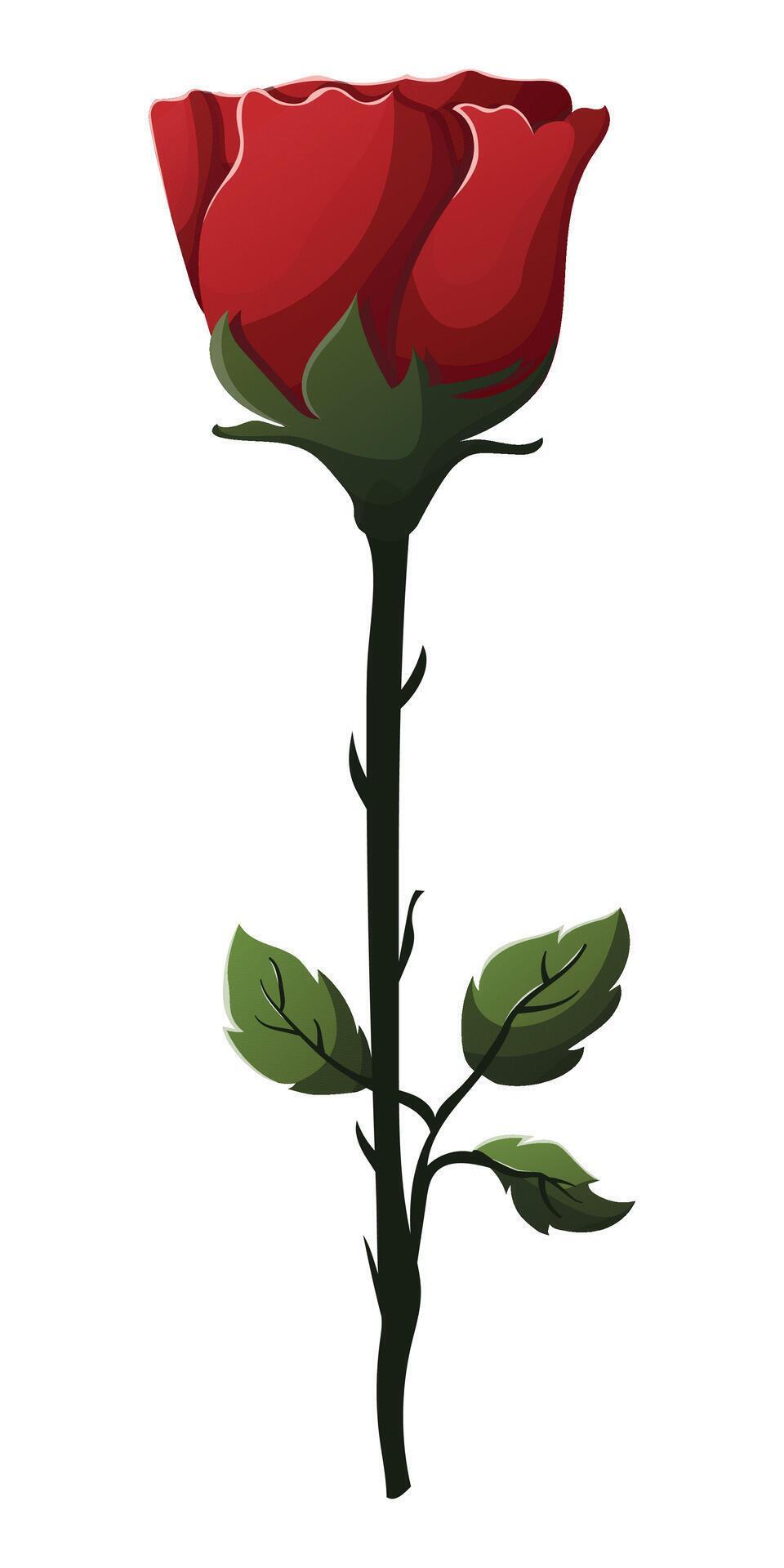 free vector rose flower illustration Stock Free