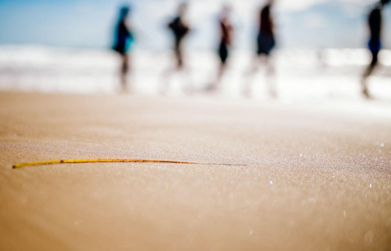 People Beach Sand Blurry Stock Free