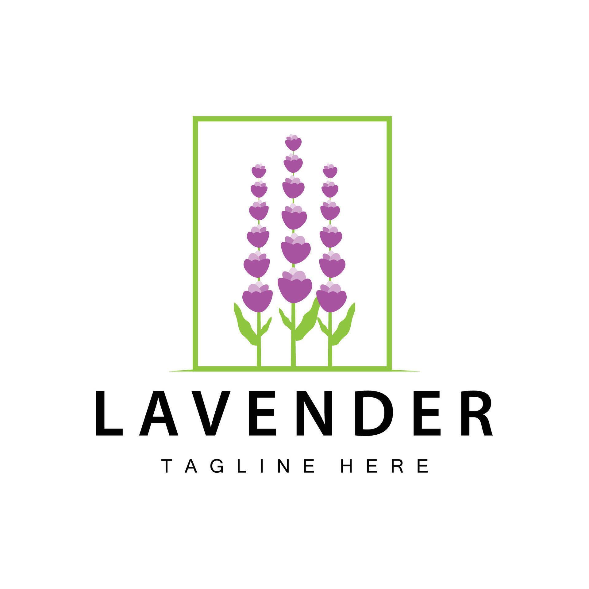 Lavender logo simple design vector cosmetic plant purple color and aromatherapy lavender flower garden template Stock Free