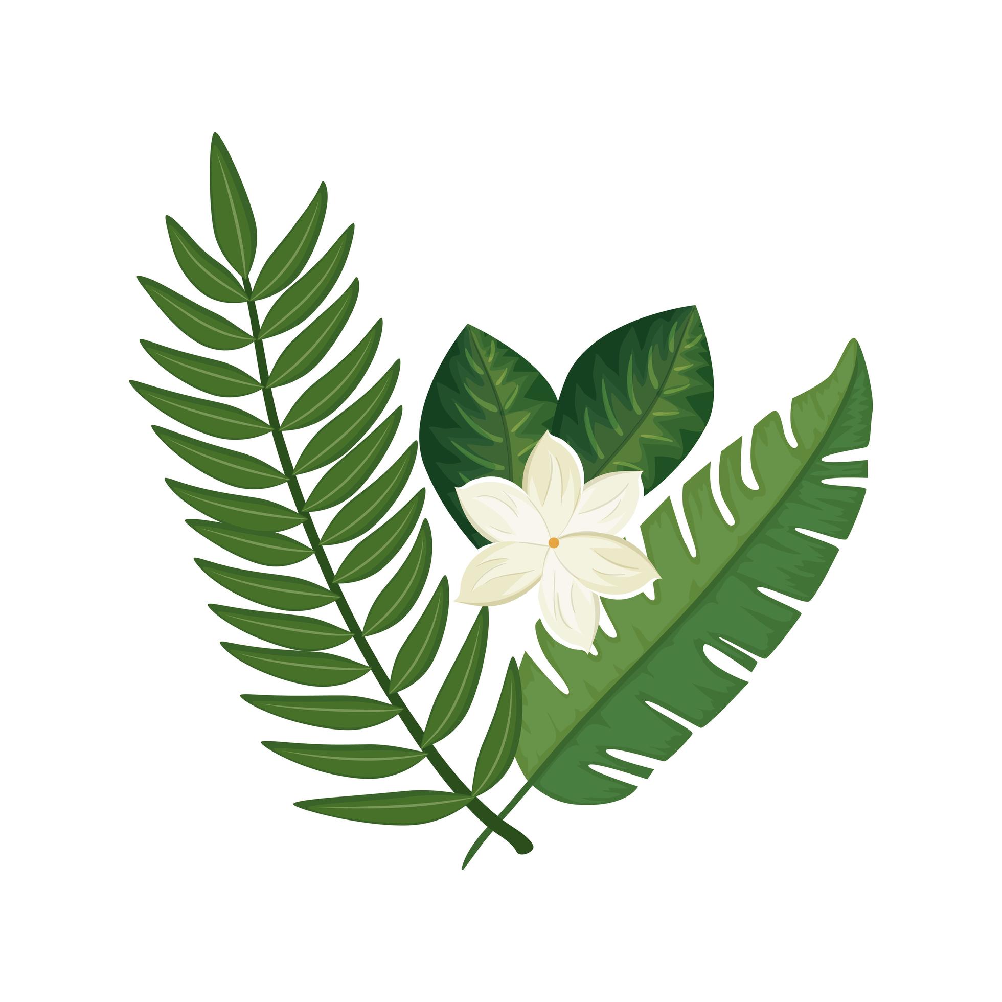 cute flower with branches and leafs isolated icon Stock Free