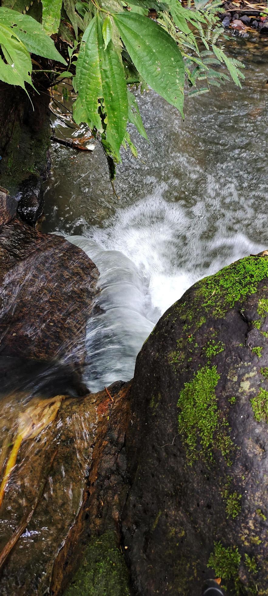 Portrait of a natural river flow that looks clean and far from waste Stock Free