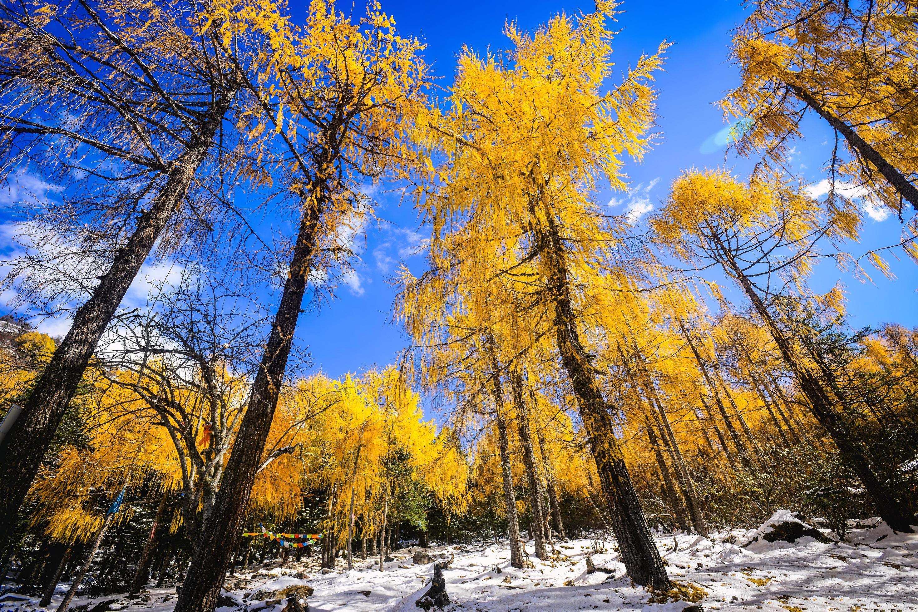 Spectacular scenery in the high mountains of western Sichuan, China, with different seasons Stock Free