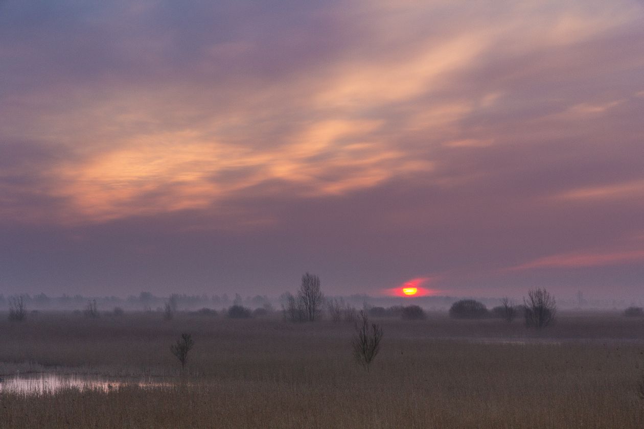 Sunrise at Lauwersmeer Stock Free