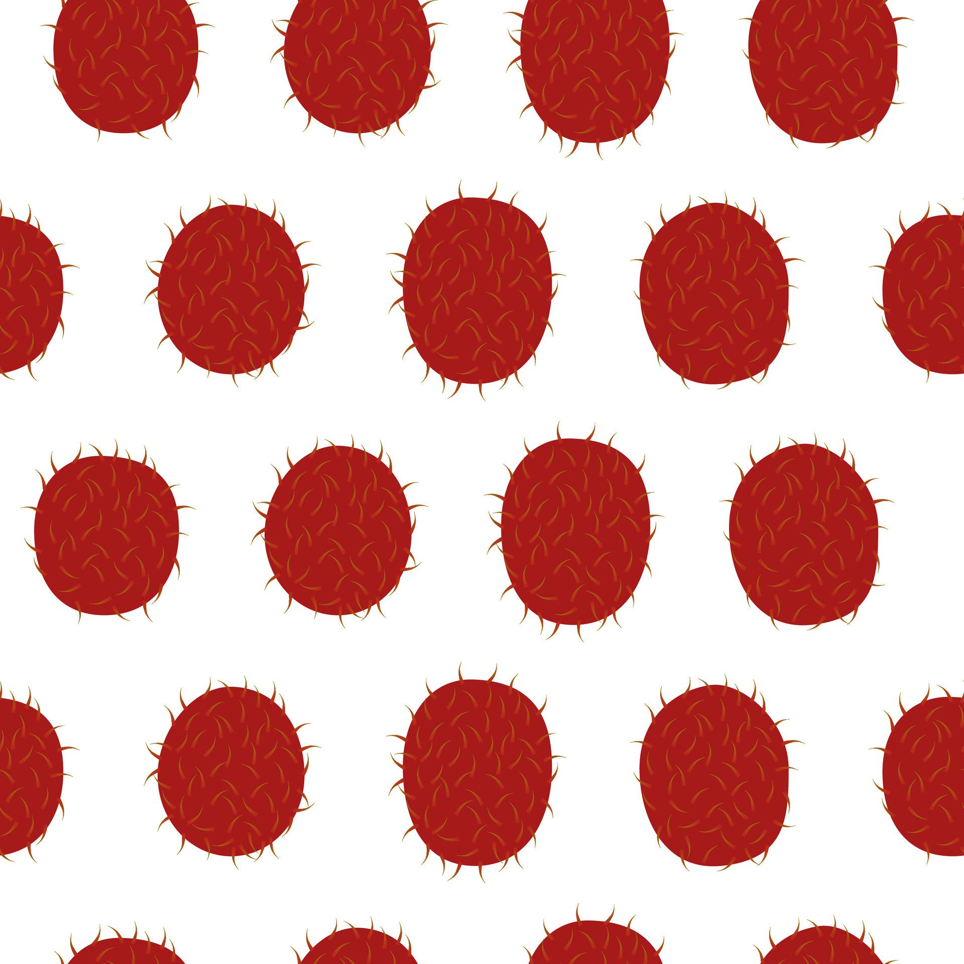 Fresh Rambutan Tropical Fruit Seamless Pattern On White Background Free Vector