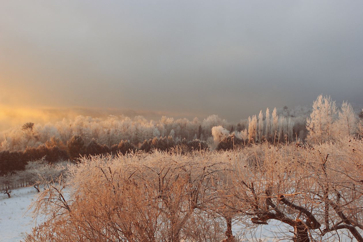 Frozen morning Stock Free