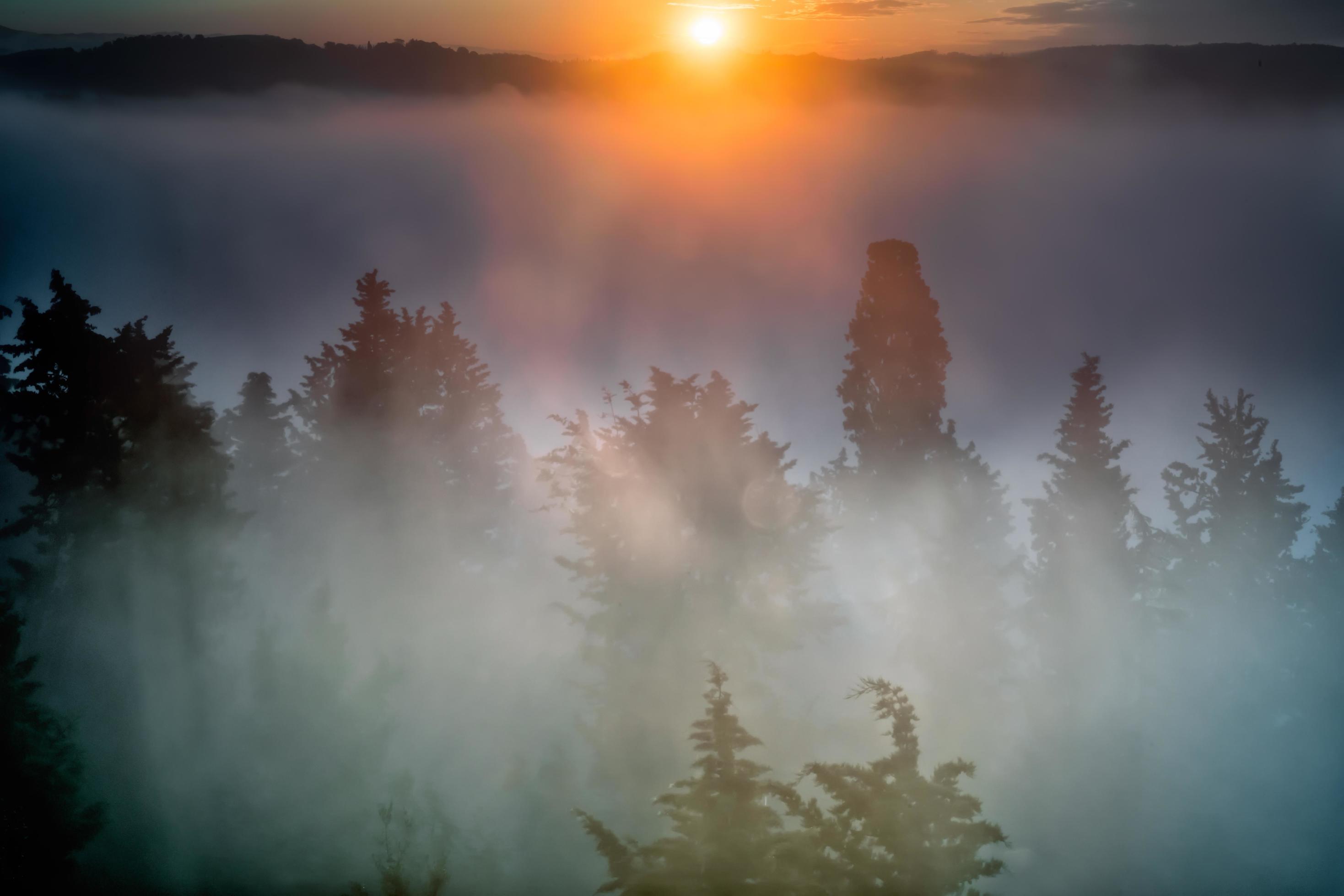 Mist at sunrise in Tuscany Stock Free