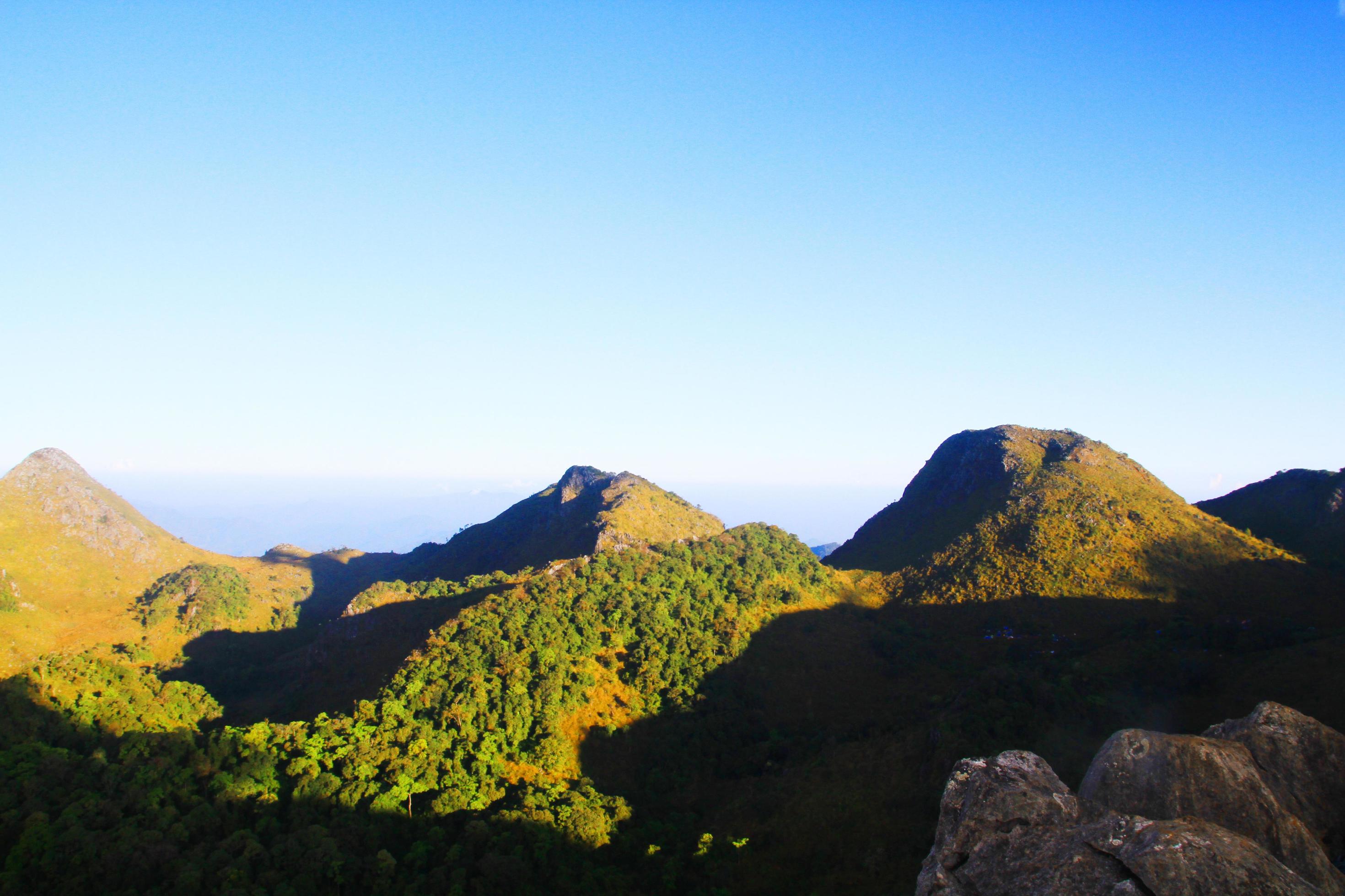 Beautiful grass flowers Landscape of rocky Limestone Mountain and green forest with blu sky at Chiang doa national park in Chiangmai, Thailand Stock Free