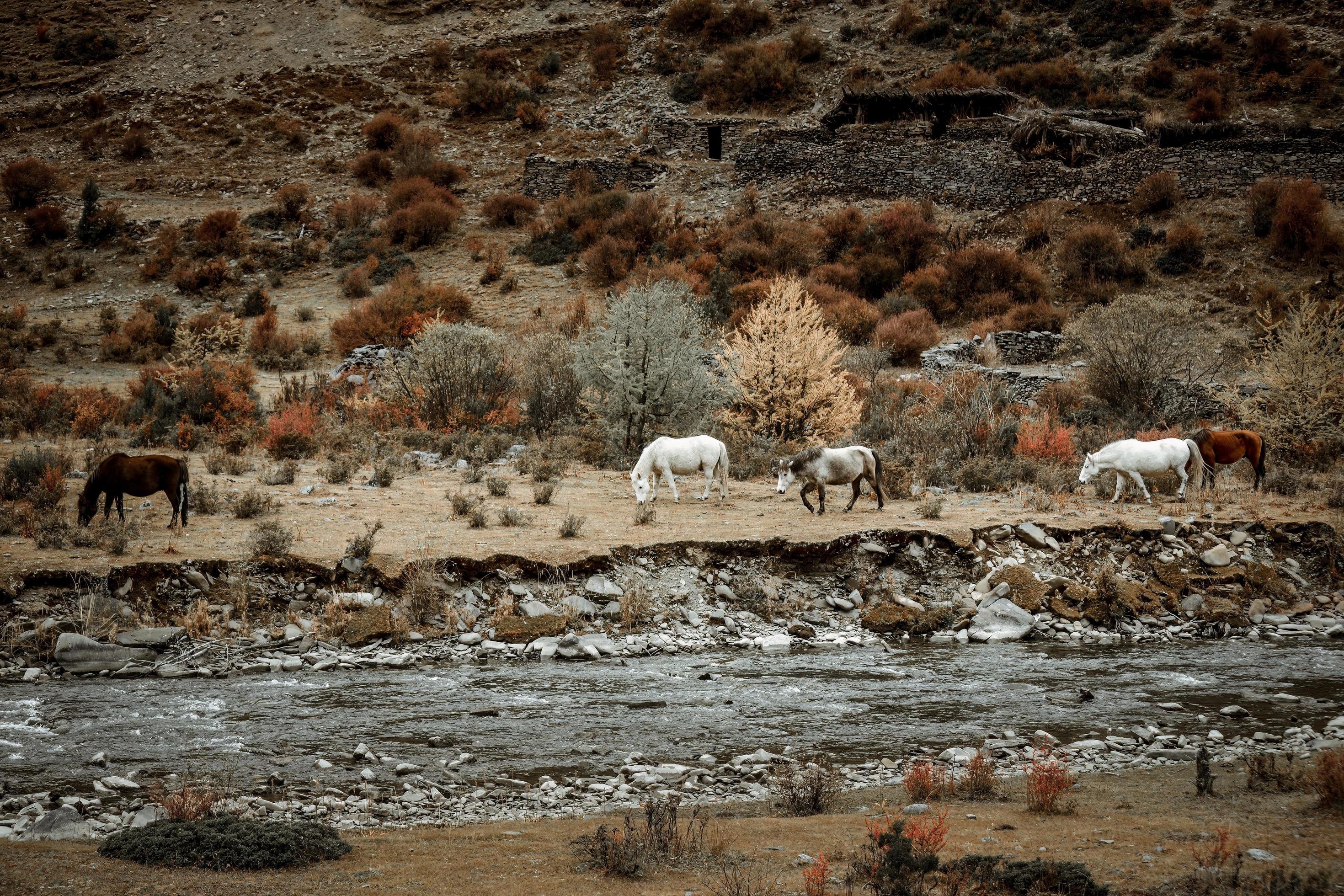 Spectacular scenery in the high mountains of western Sichuan, China, with different seasons Stock Free