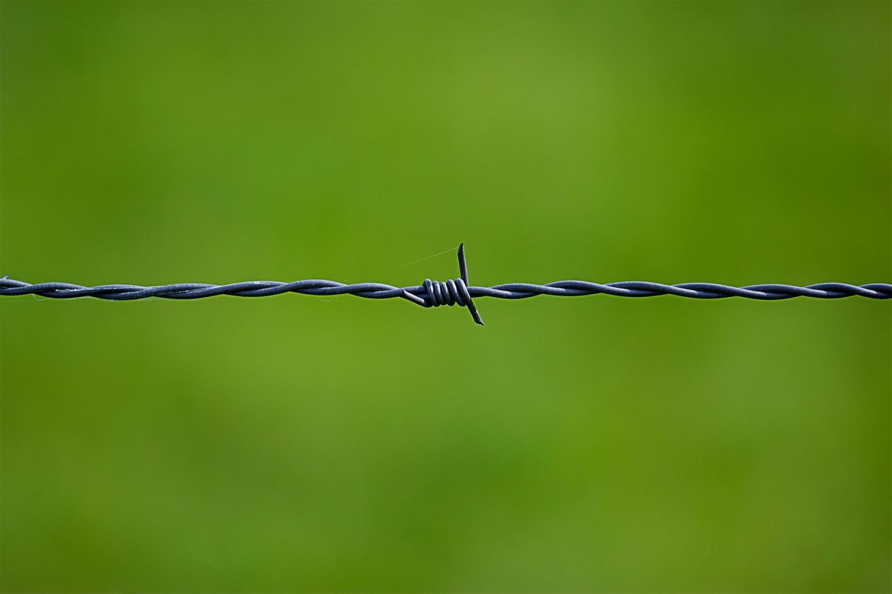 Barbed wire Stock Free