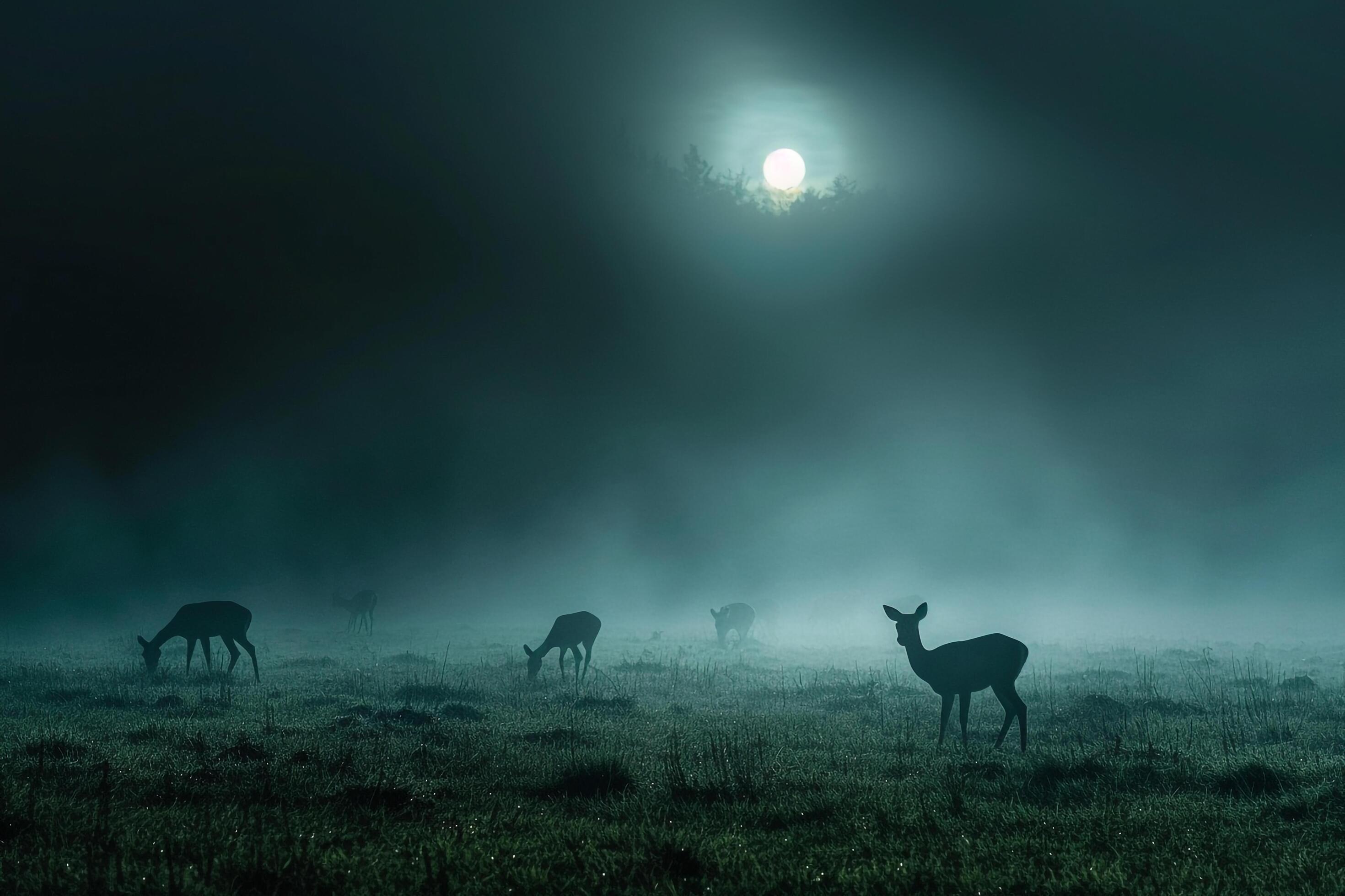 Moonlight Filtering Through Mist Casting Silver Glow on Family of Deer Grazing in Meadow Background in Nature Stock Free