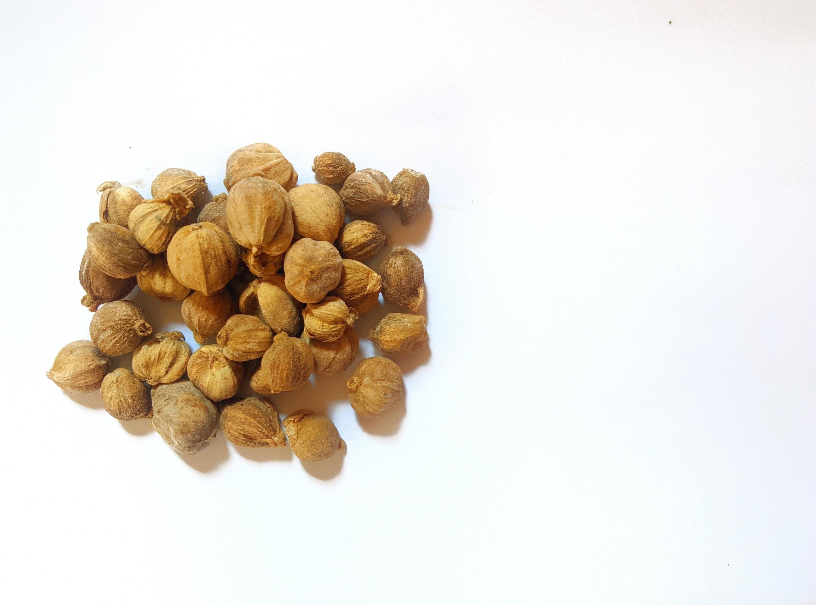 Dried cardamom, as a complementary spice in cooking seasonings, flat lay shot and isolated on white background. Stock Free