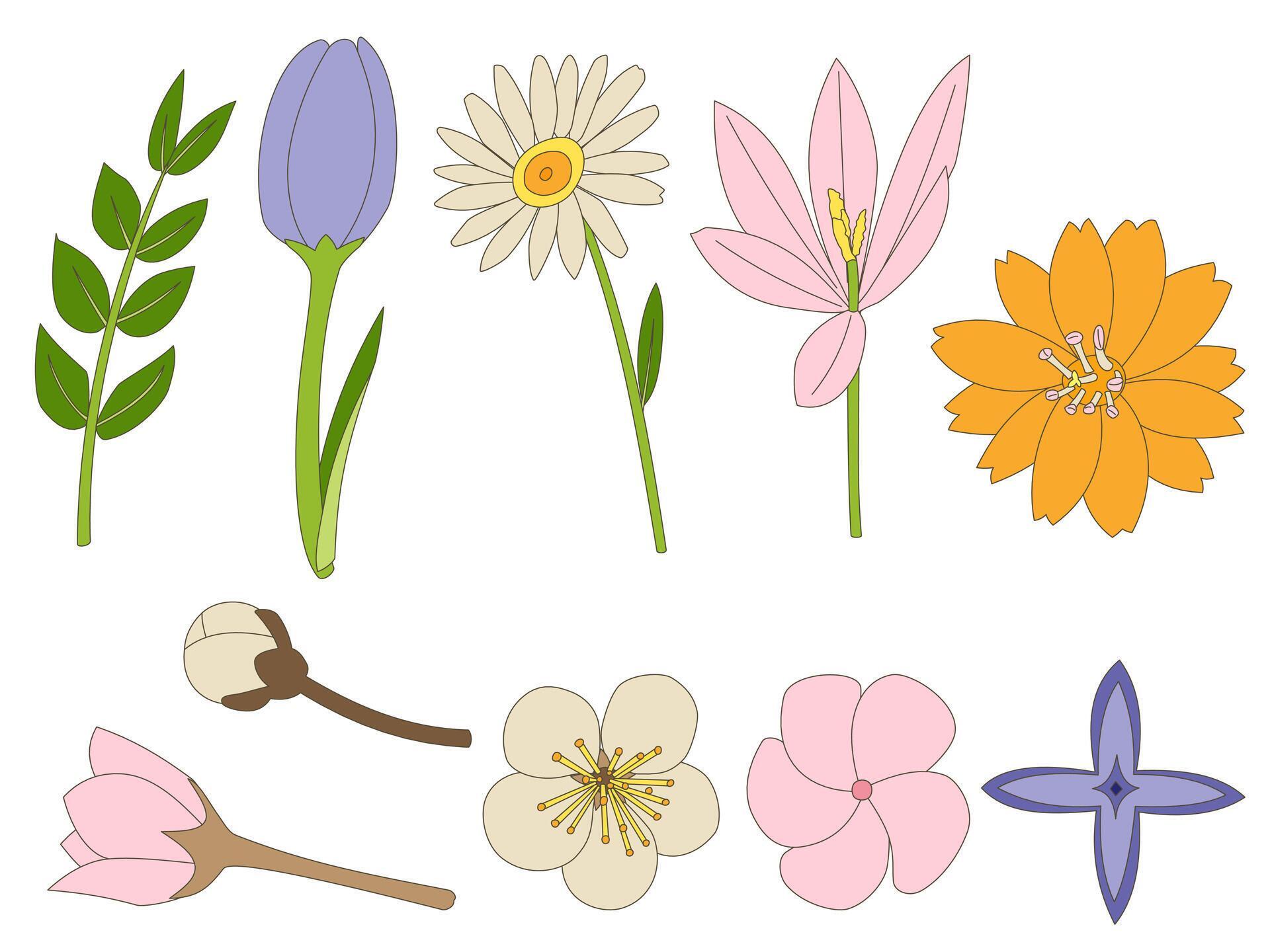 A Set of spring elements such as orange flower, daisy, crocus, apple blossom, frangipani, tulip, and others in a hand-drawn minimal floral concept, Vector Stock Free