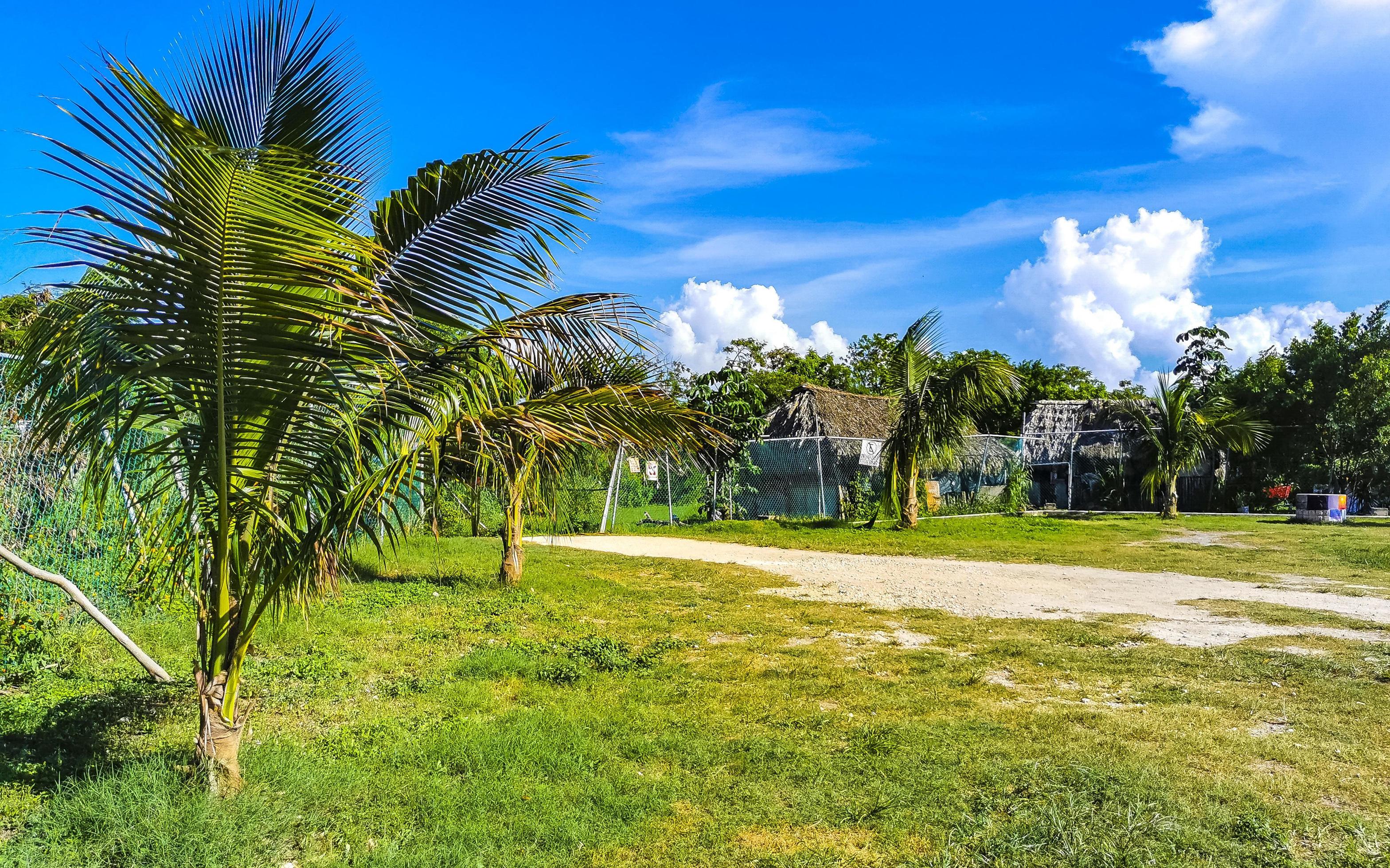 Entrance path of tropical beach between natural huts in Mexico. Stock Free