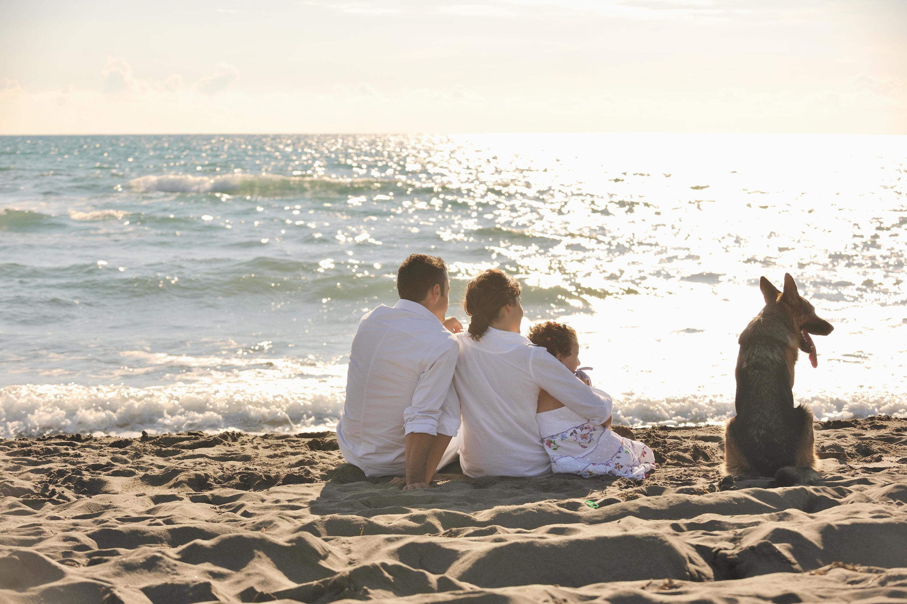 happy family playing with dog on beach Stock Free