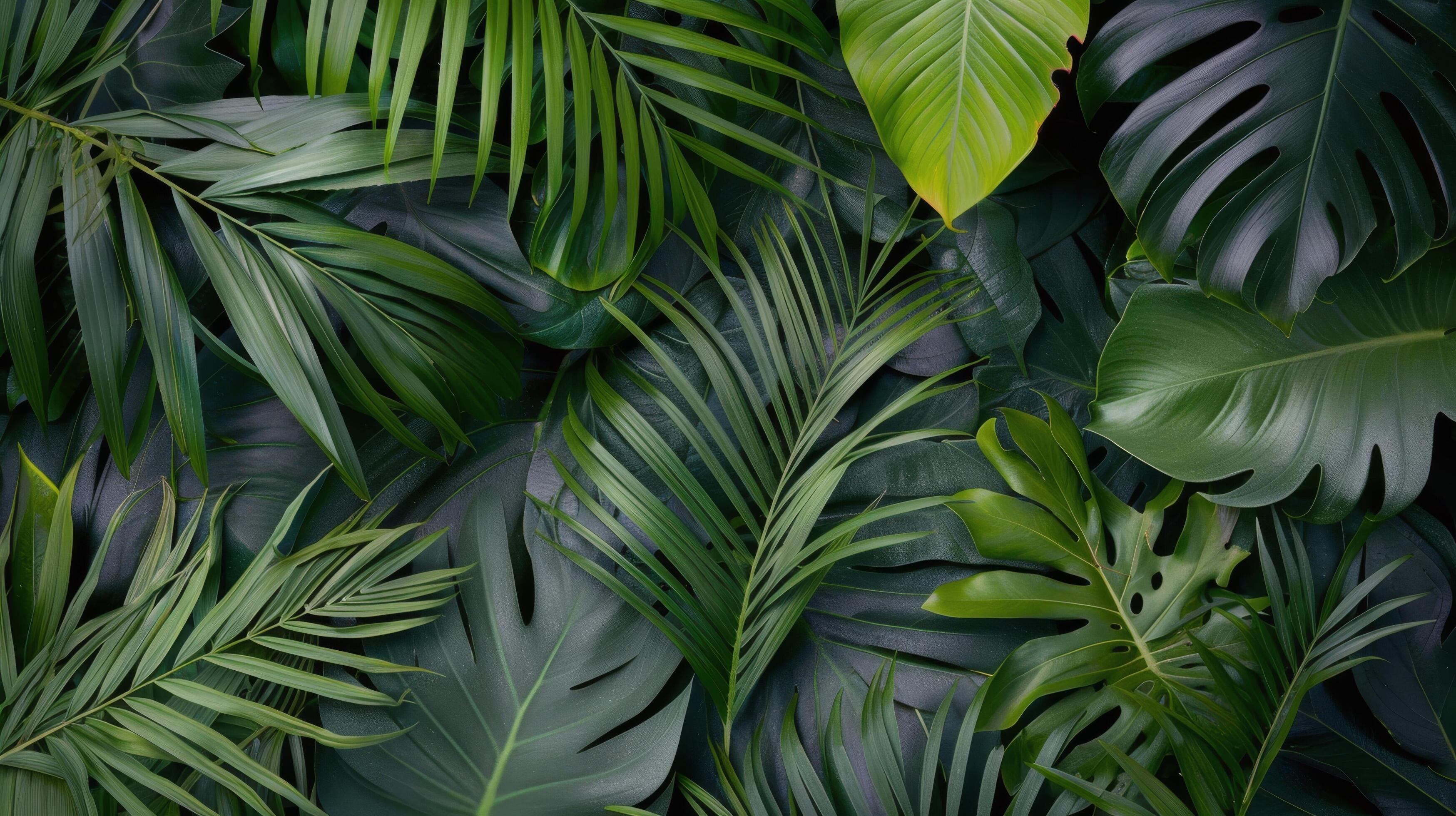 Tropical Green Leaves Background Stock Free