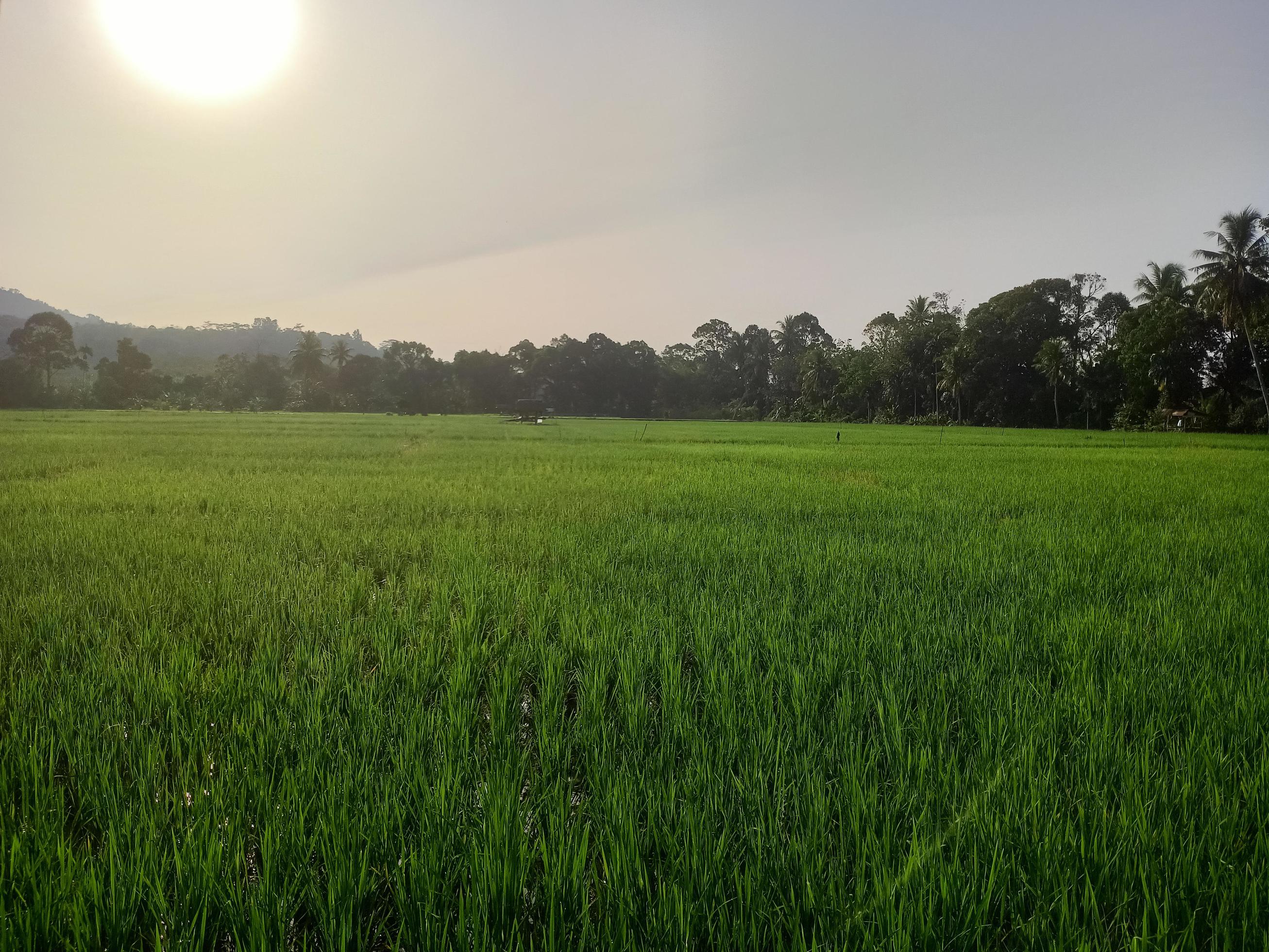 Beautiful natural scenery during the day, the sky is blue, the clouds Stock Free