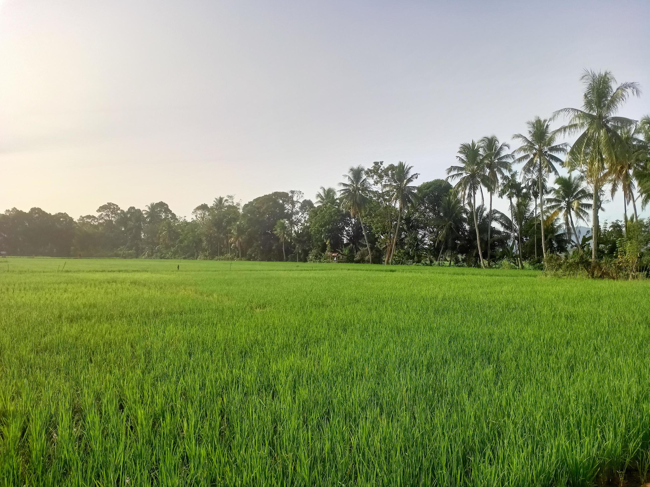 Beautiful natural scenery during the day, the sky is blue, the clouds Stock Free