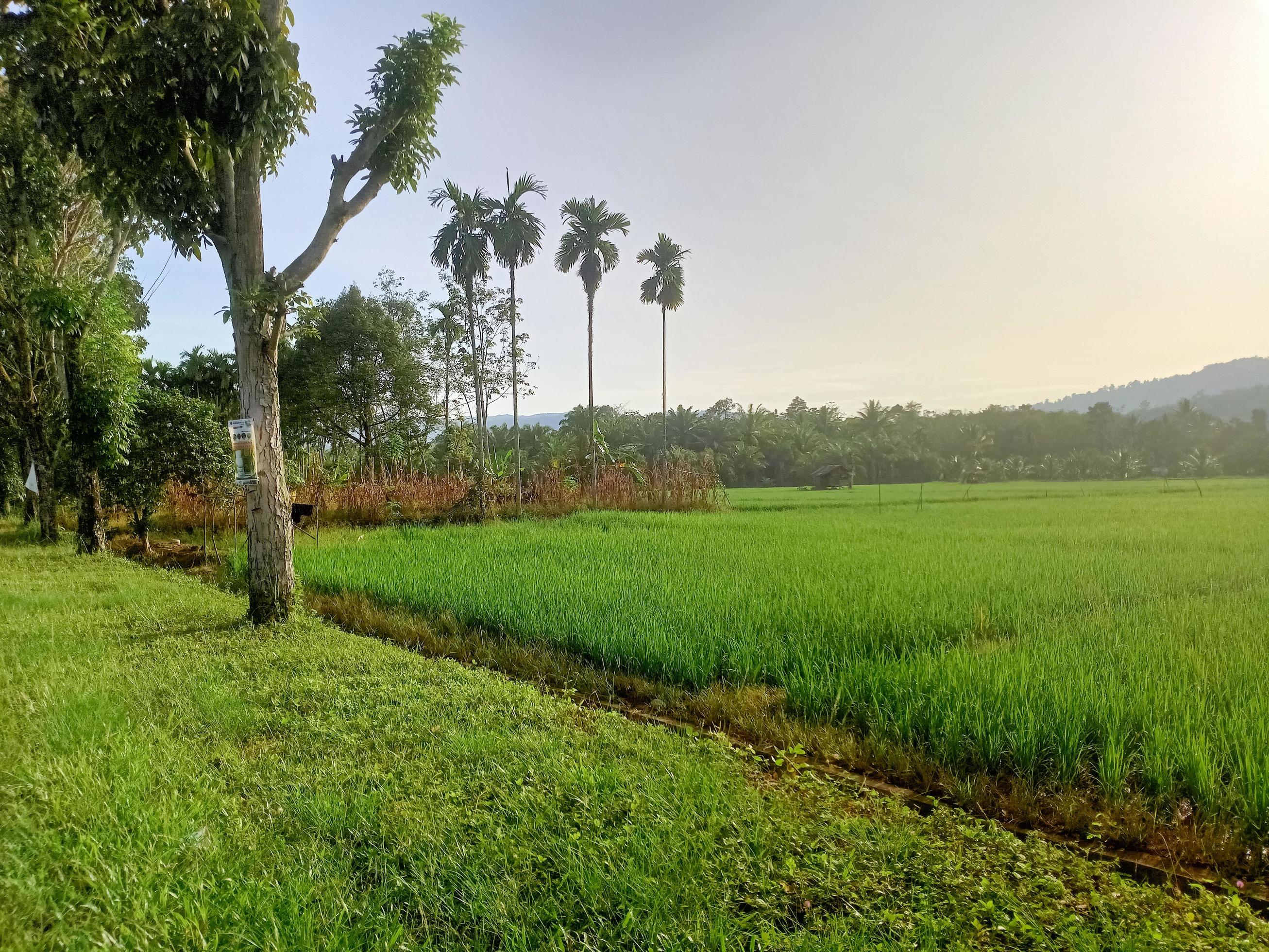 beautiful natural scenery during the day, the sky is blue, the clouds Stock Free