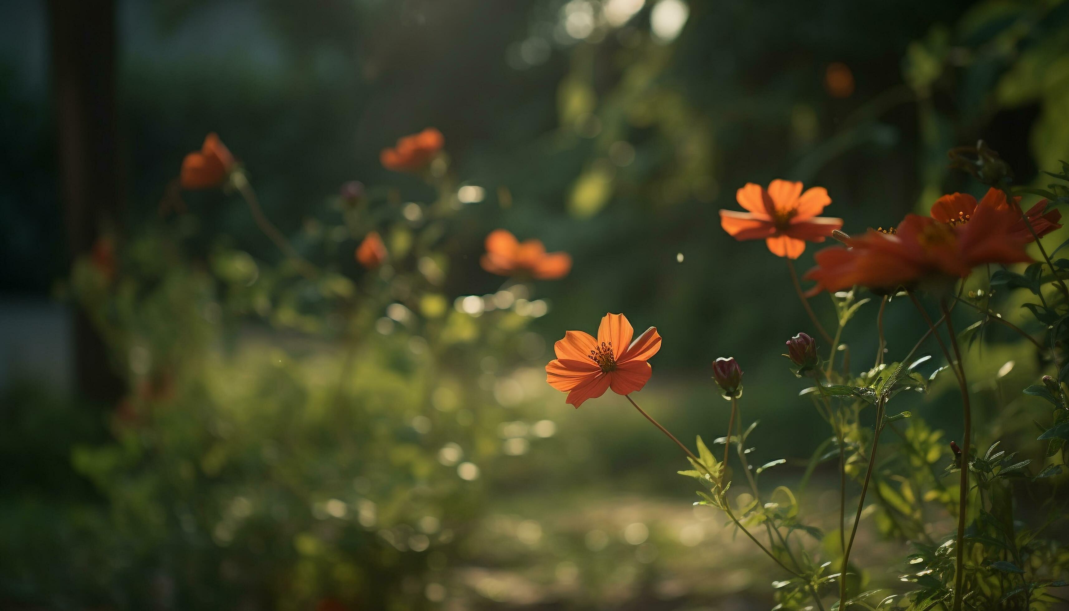 Vibrant cosmos flower bouquet decorates uncultivated meadow in non urban landscape generated by AI Stock Free