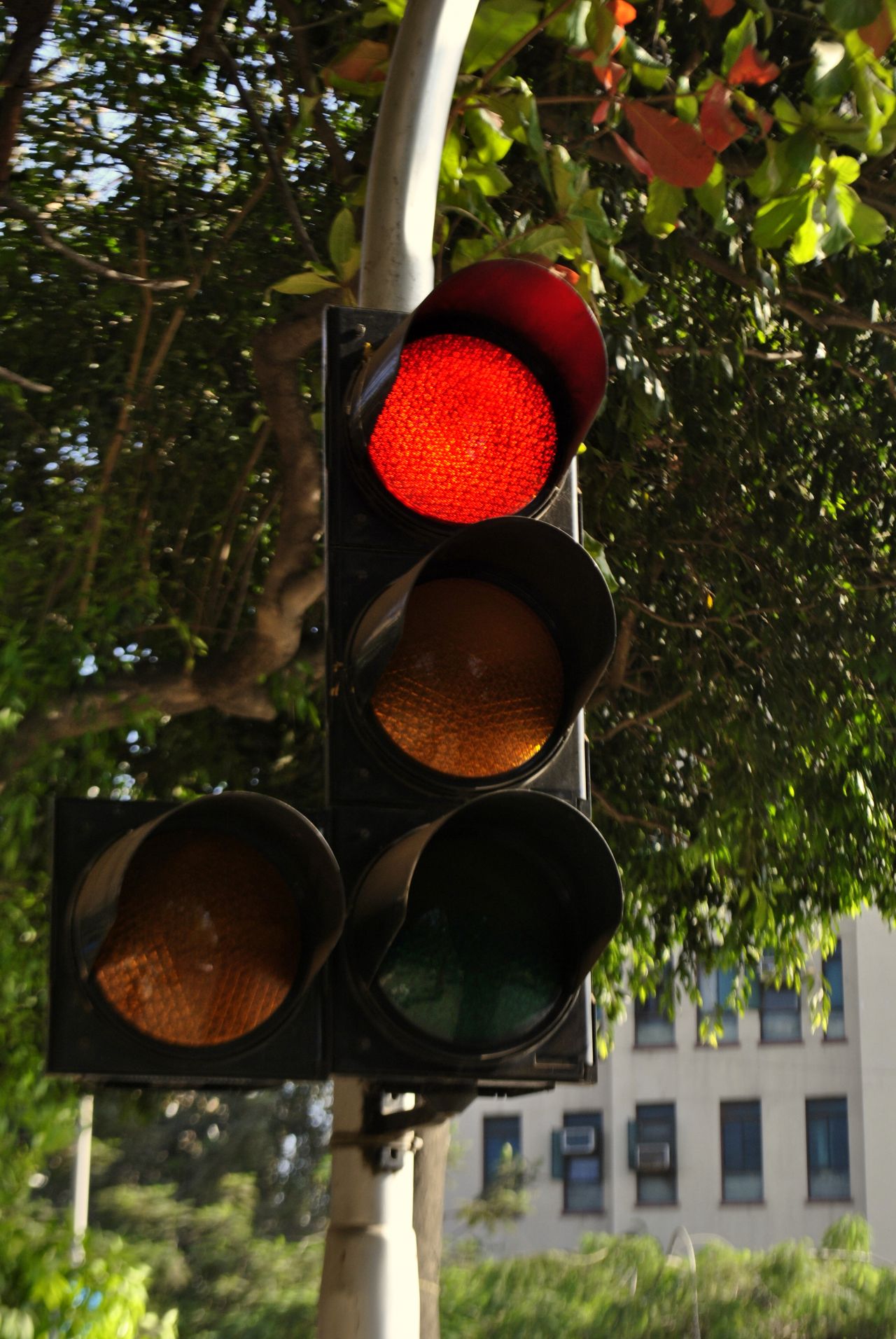 Traffic Signal Red Stock Free