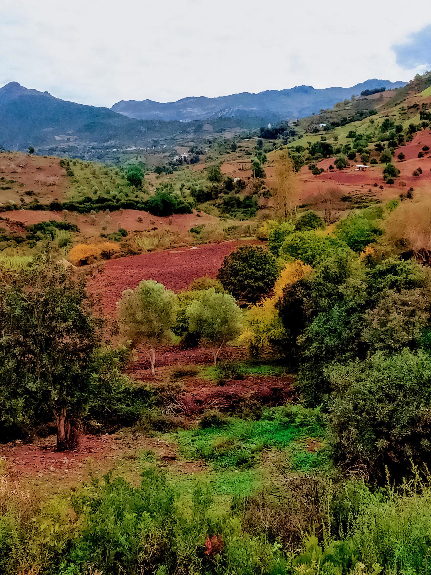 Acres among nature during plowing Stock Free