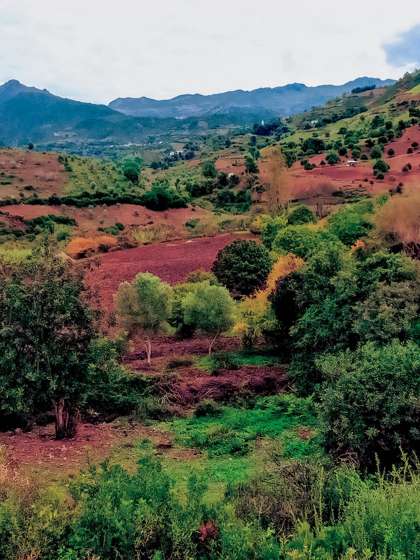 Embrace the natural beauty of plowing on acres of farmland, a journey through the heart of rural serenity and tradition Stock Free