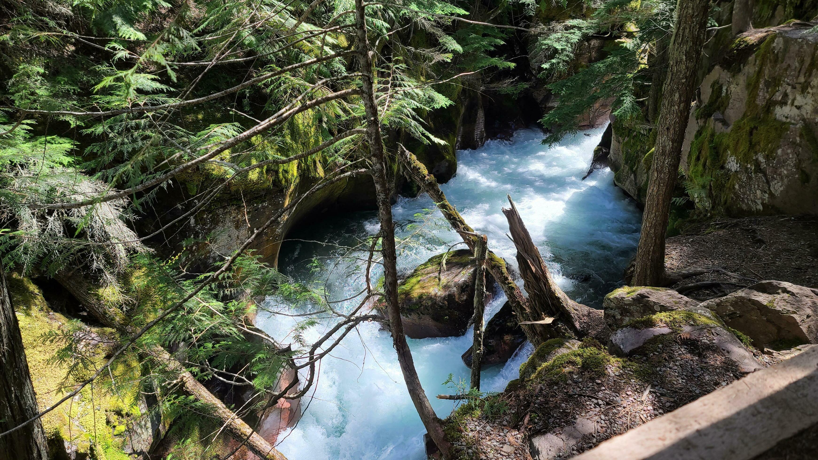 Rushing water through the forest in Glacier National Park. Stock Free